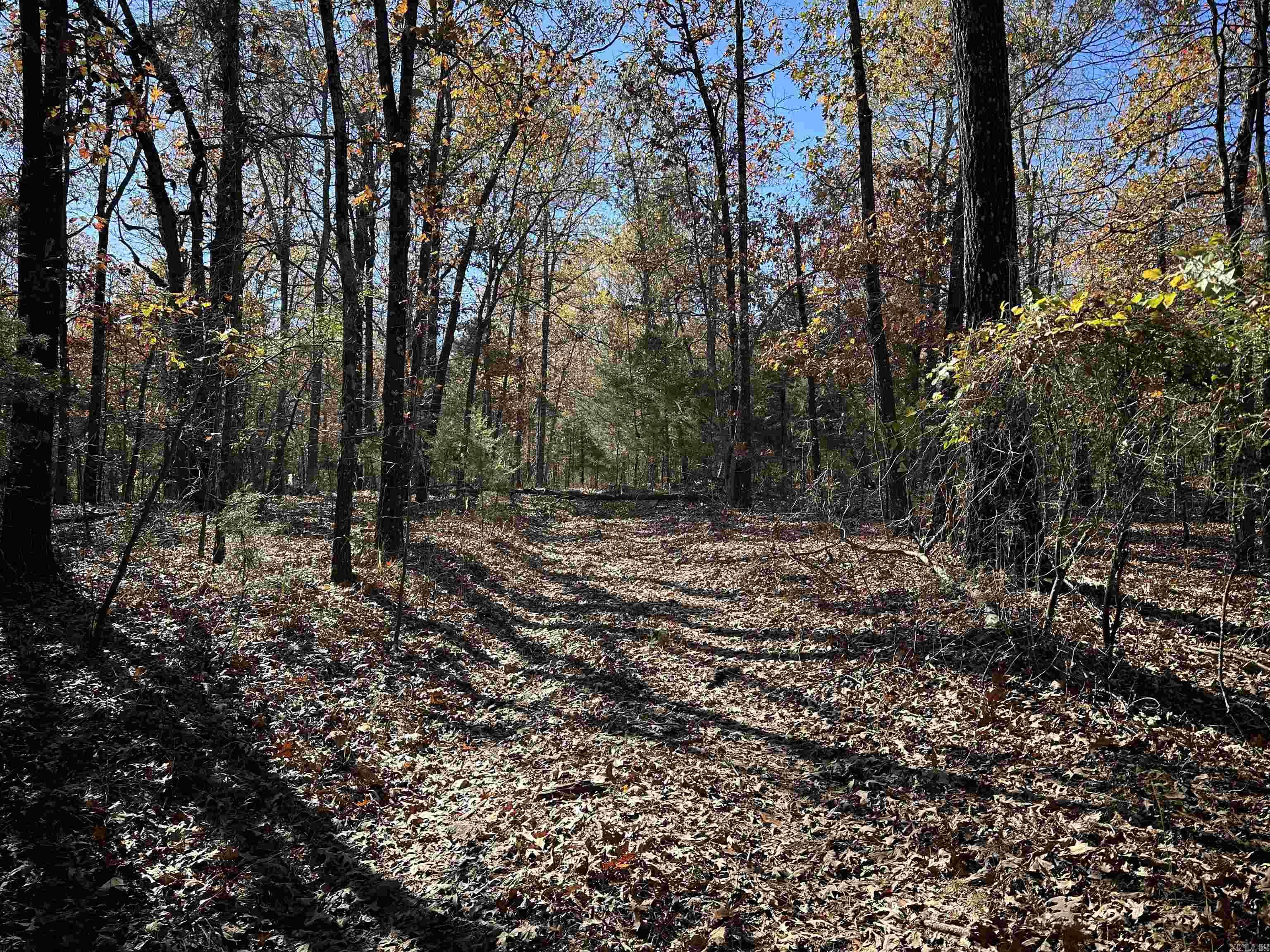 Metes & Bounds - Land