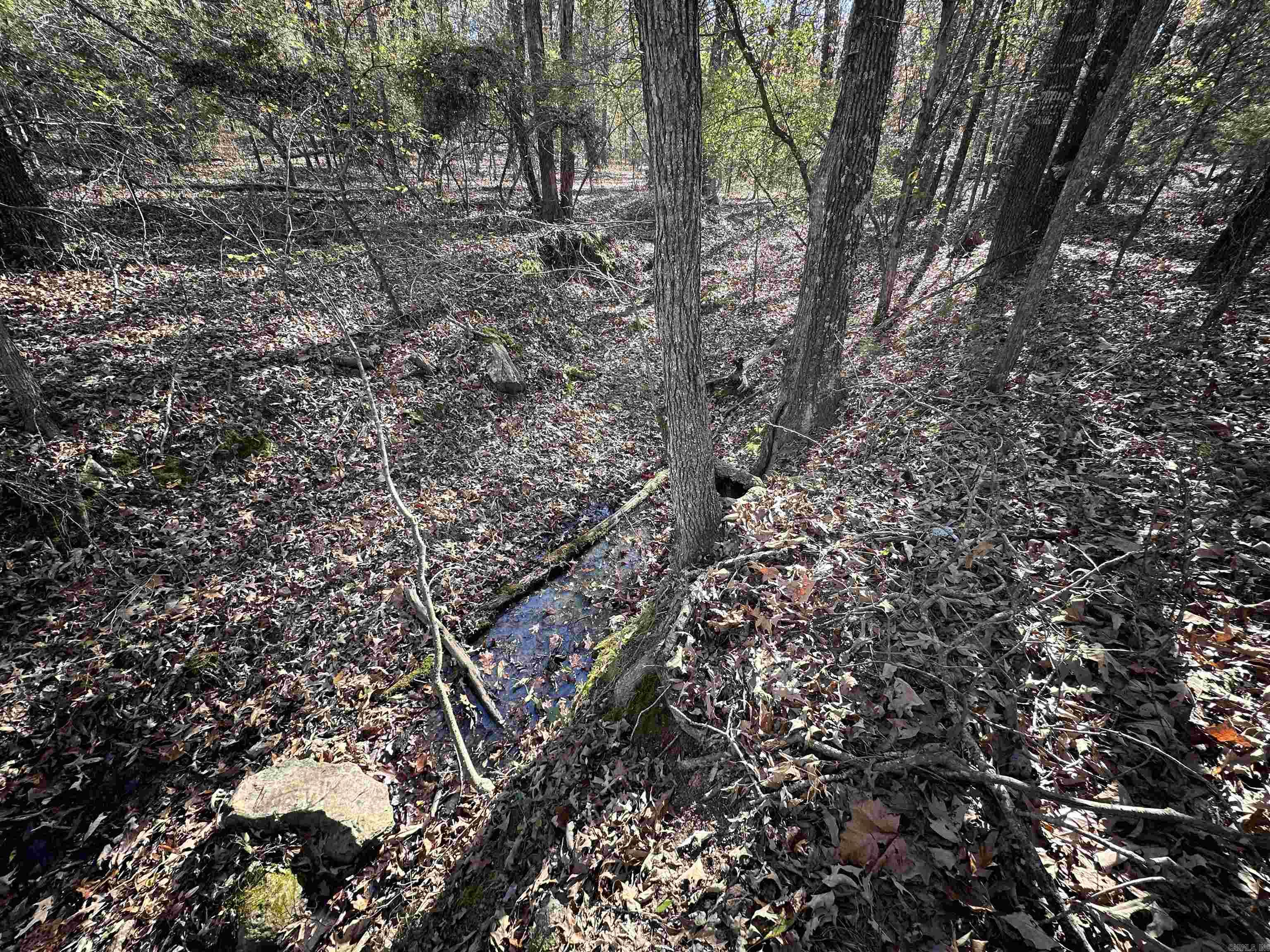 Metes & Bounds - Land