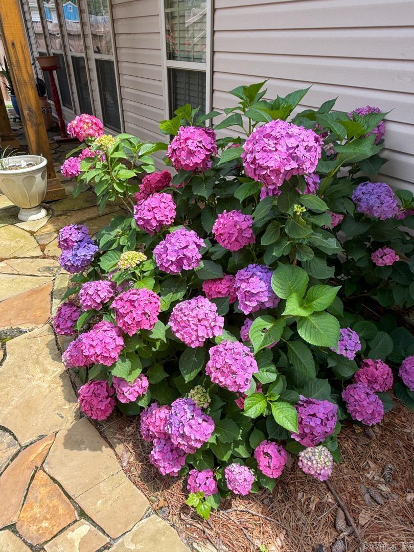 THE GARDENS - Residential