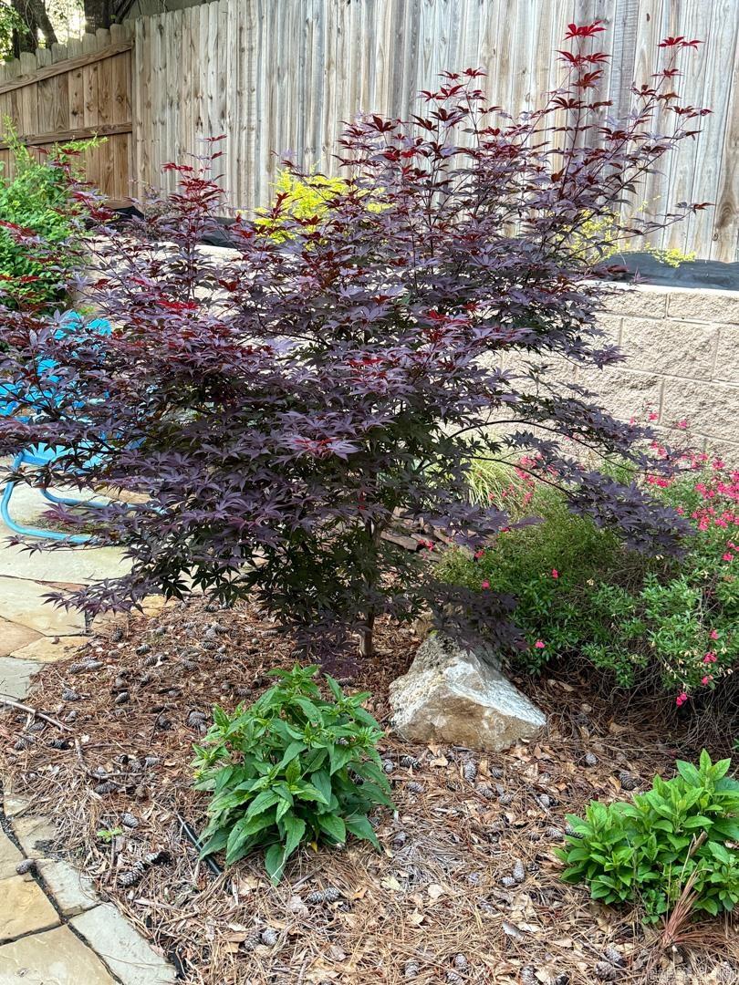 THE GARDENS - Residential