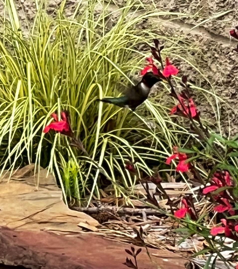 THE GARDENS - Residential