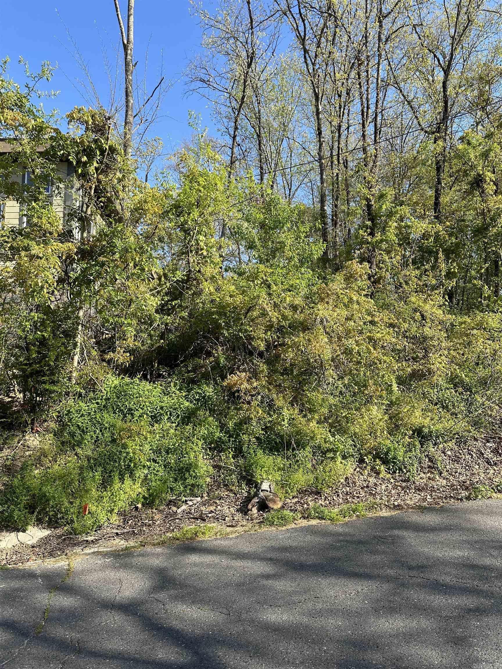 Whether youāre a builder looking for a fantastic development opportunity or an individual seeking a picturesque spot to build your dream home, this lot ticks all the boxes. Donāt miss out on this rare gem! ?? Youāll find a variety of options to inspire your vision!