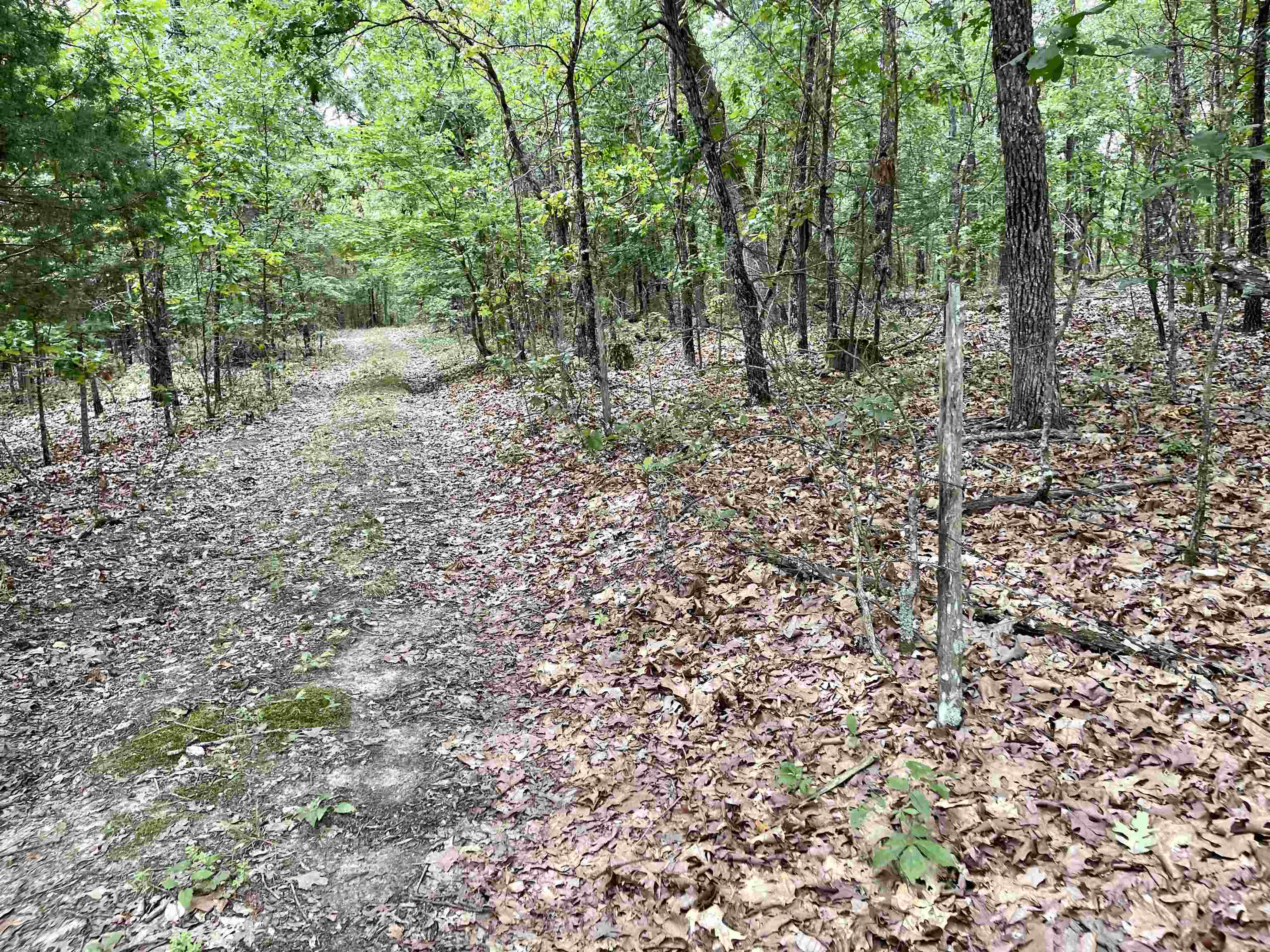 Metes & Bounds - Land