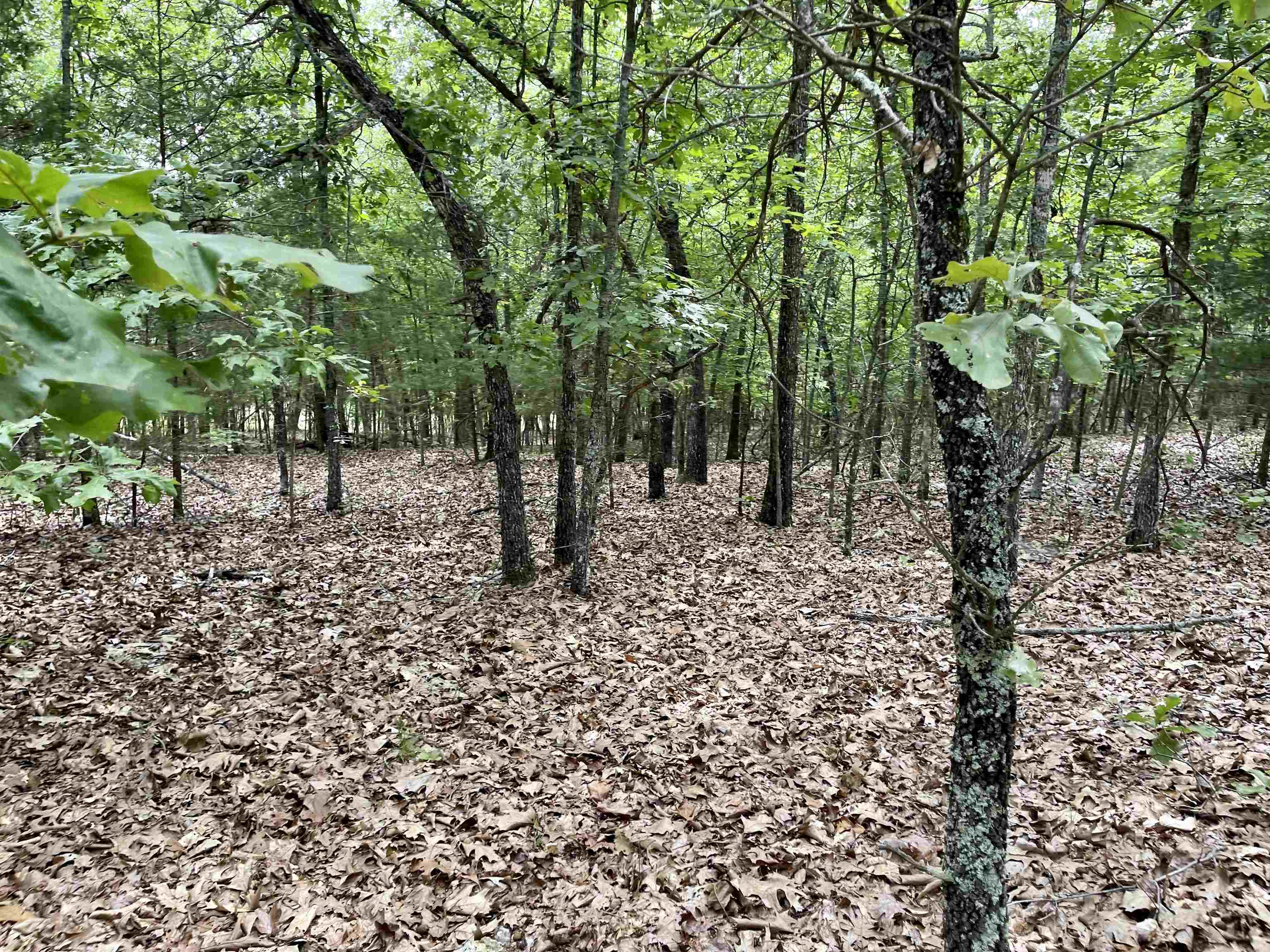 Metes & Bounds - Land