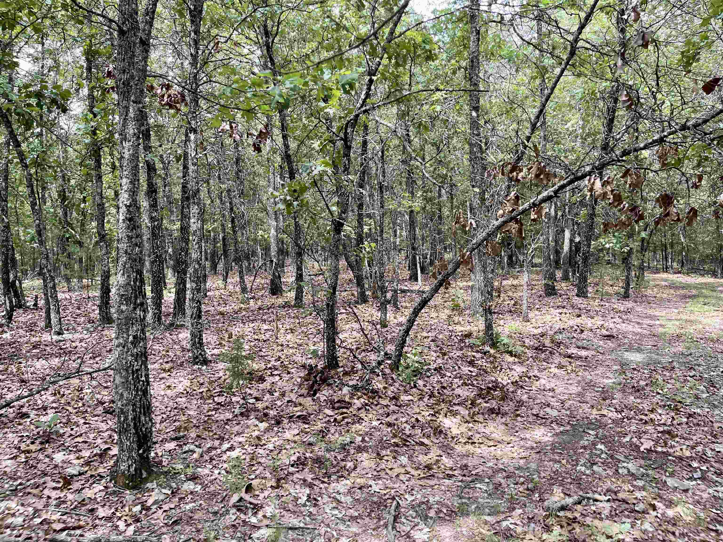 Metes & Bounds - Land