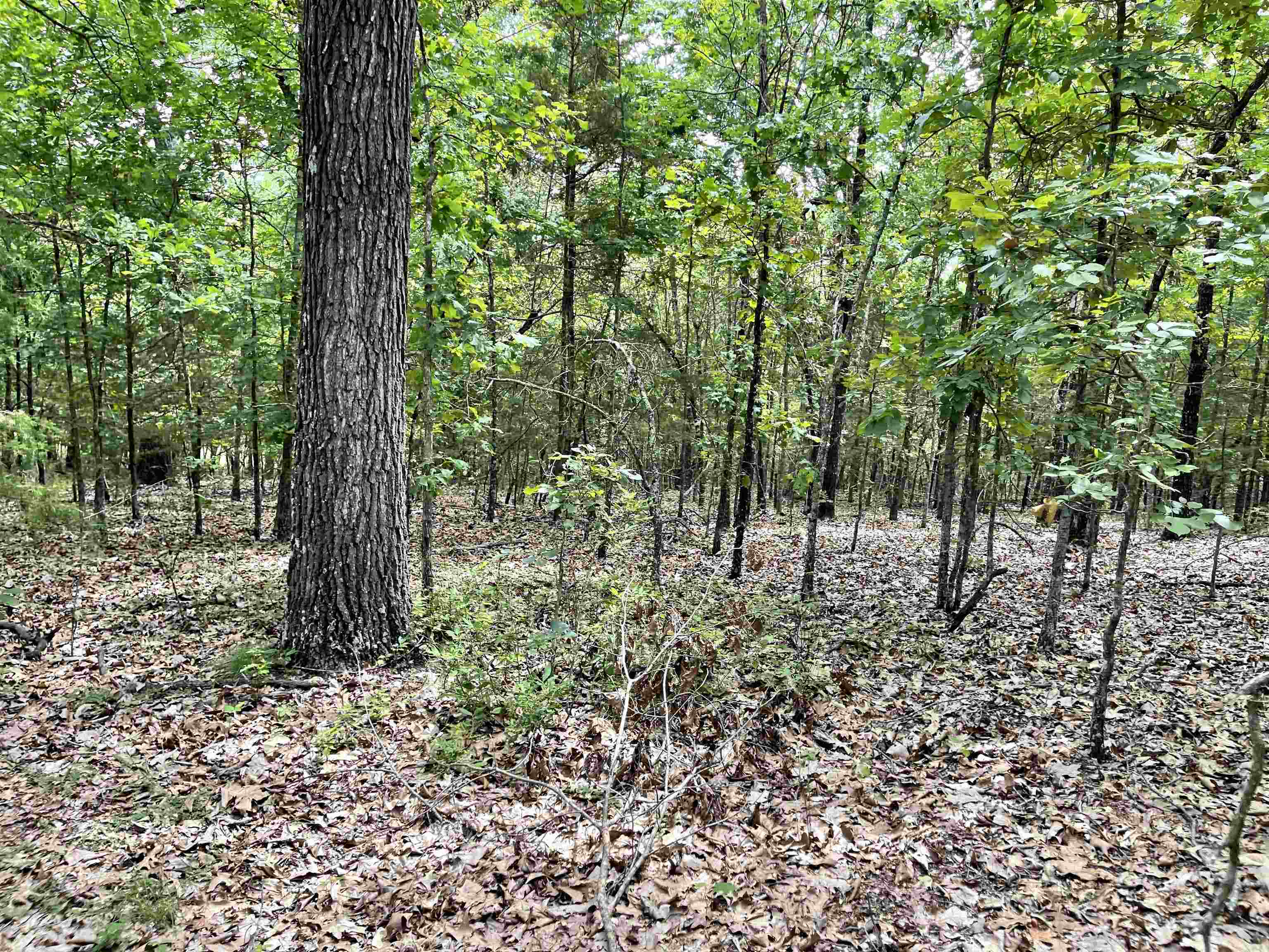 Metes & Bounds - Land