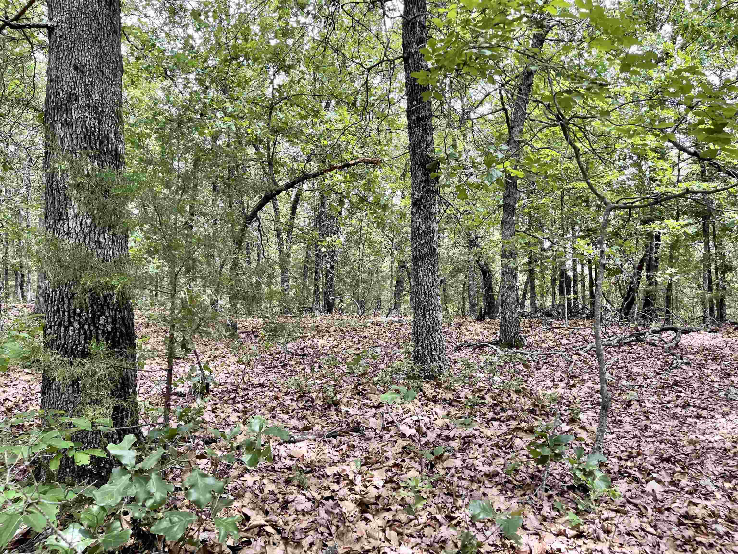 Metes & Bounds - Land