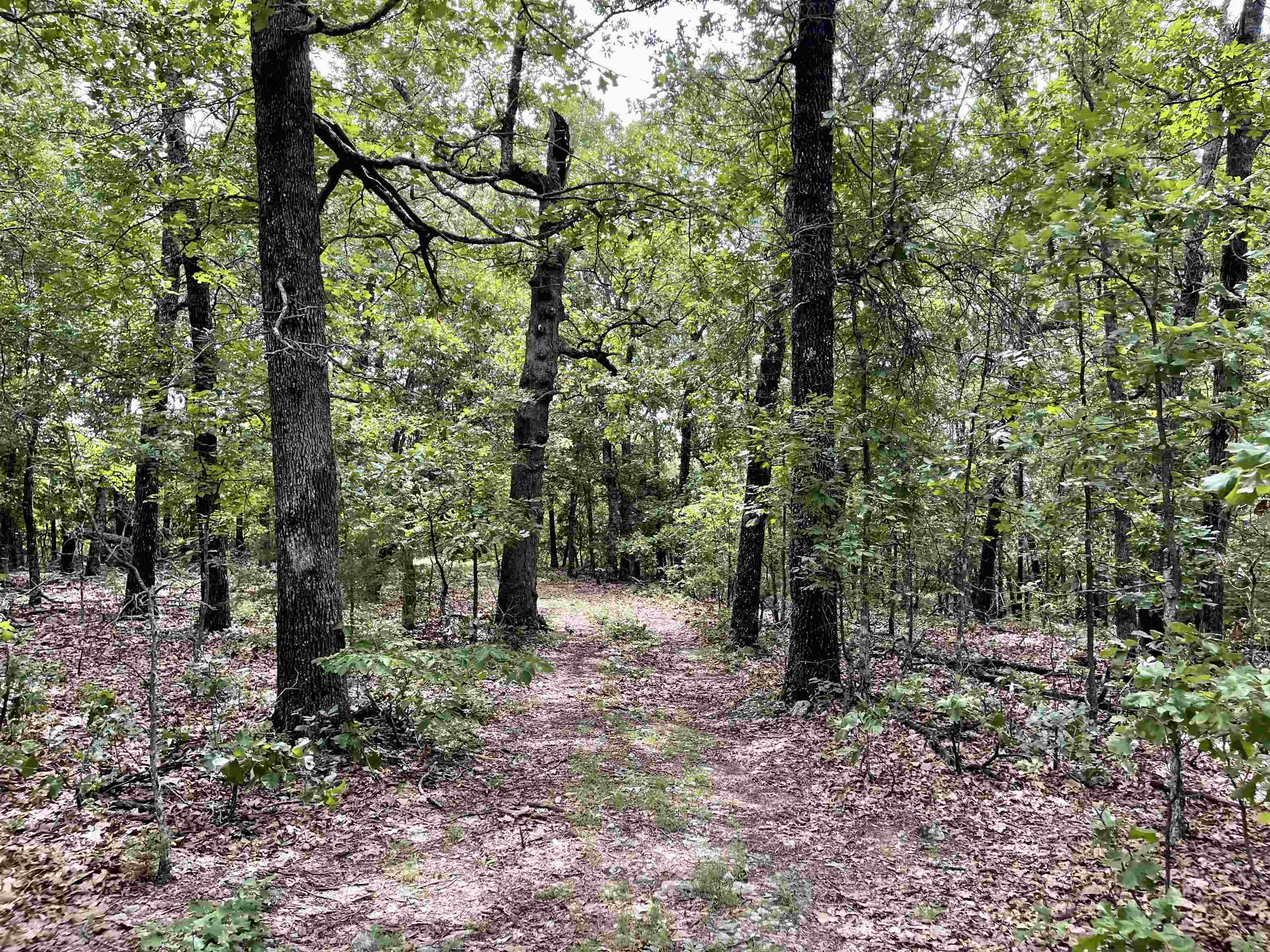 Metes & Bounds - Land