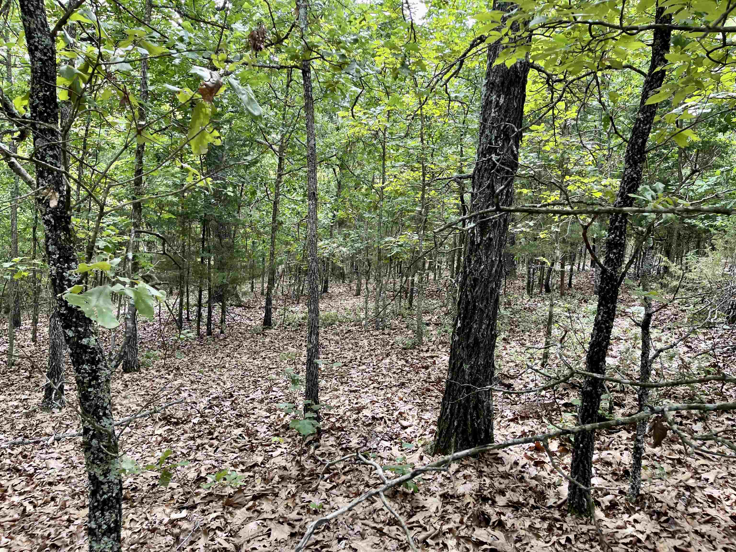 Metes & Bounds - Land