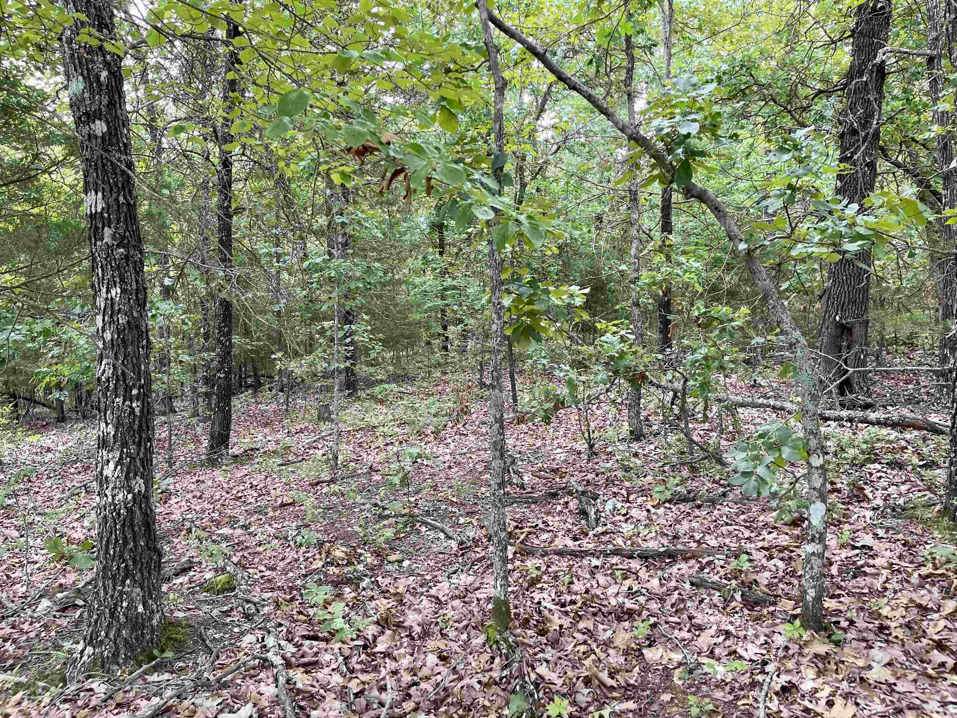 Metes & Bounds - Land