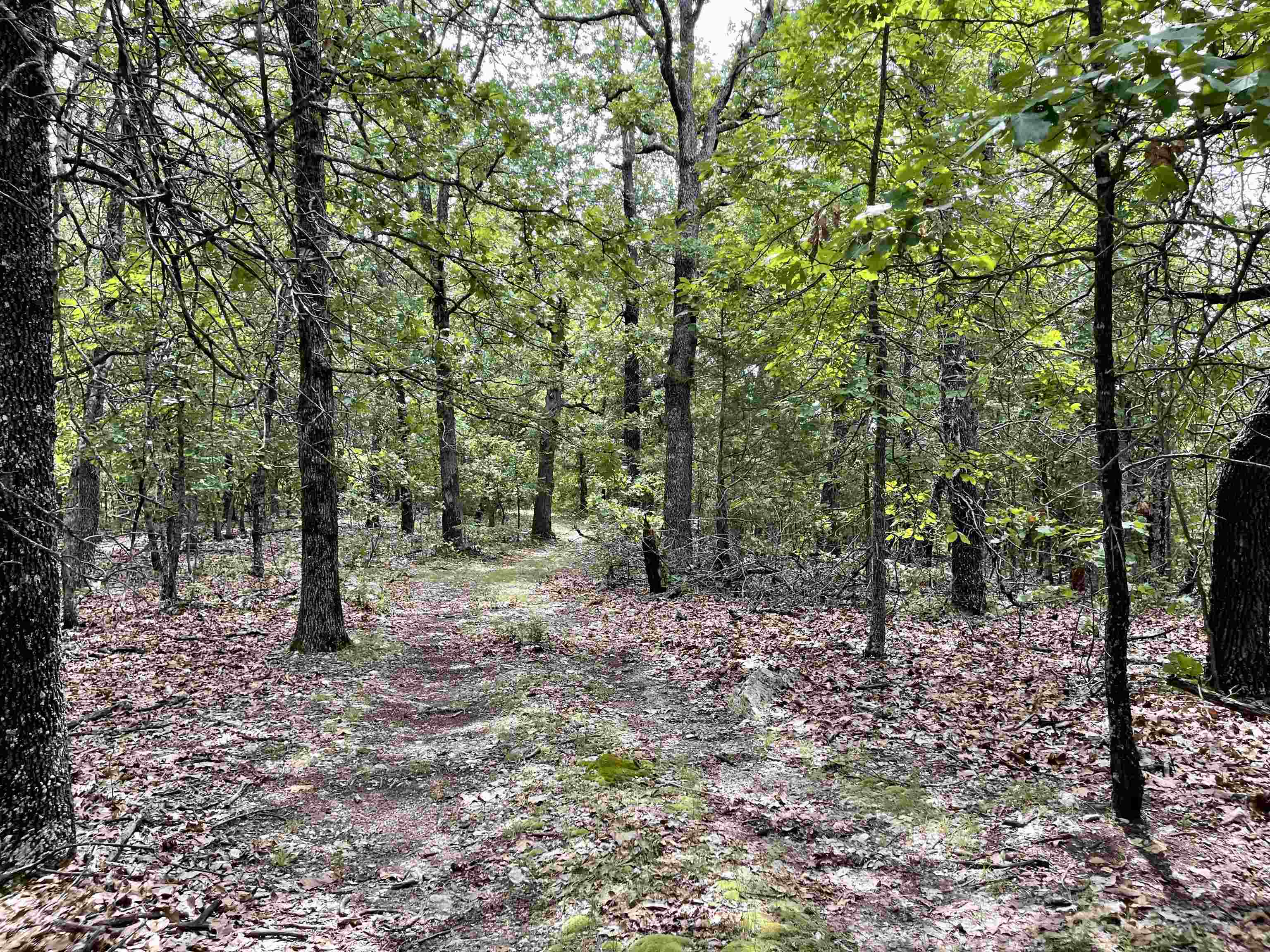 Metes & Bounds - Land