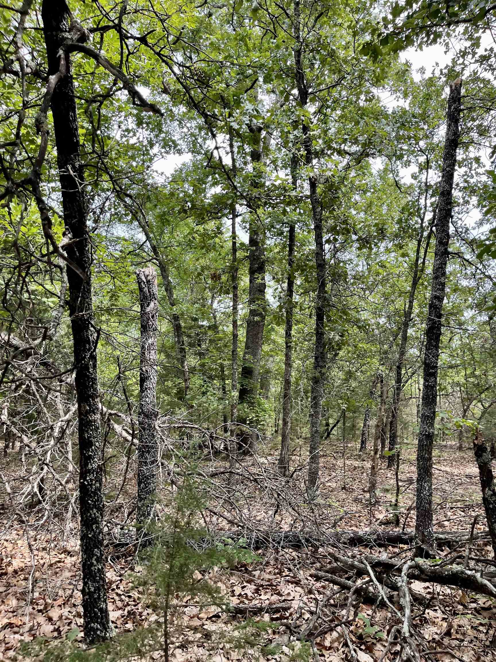 Metes & Bounds - Land