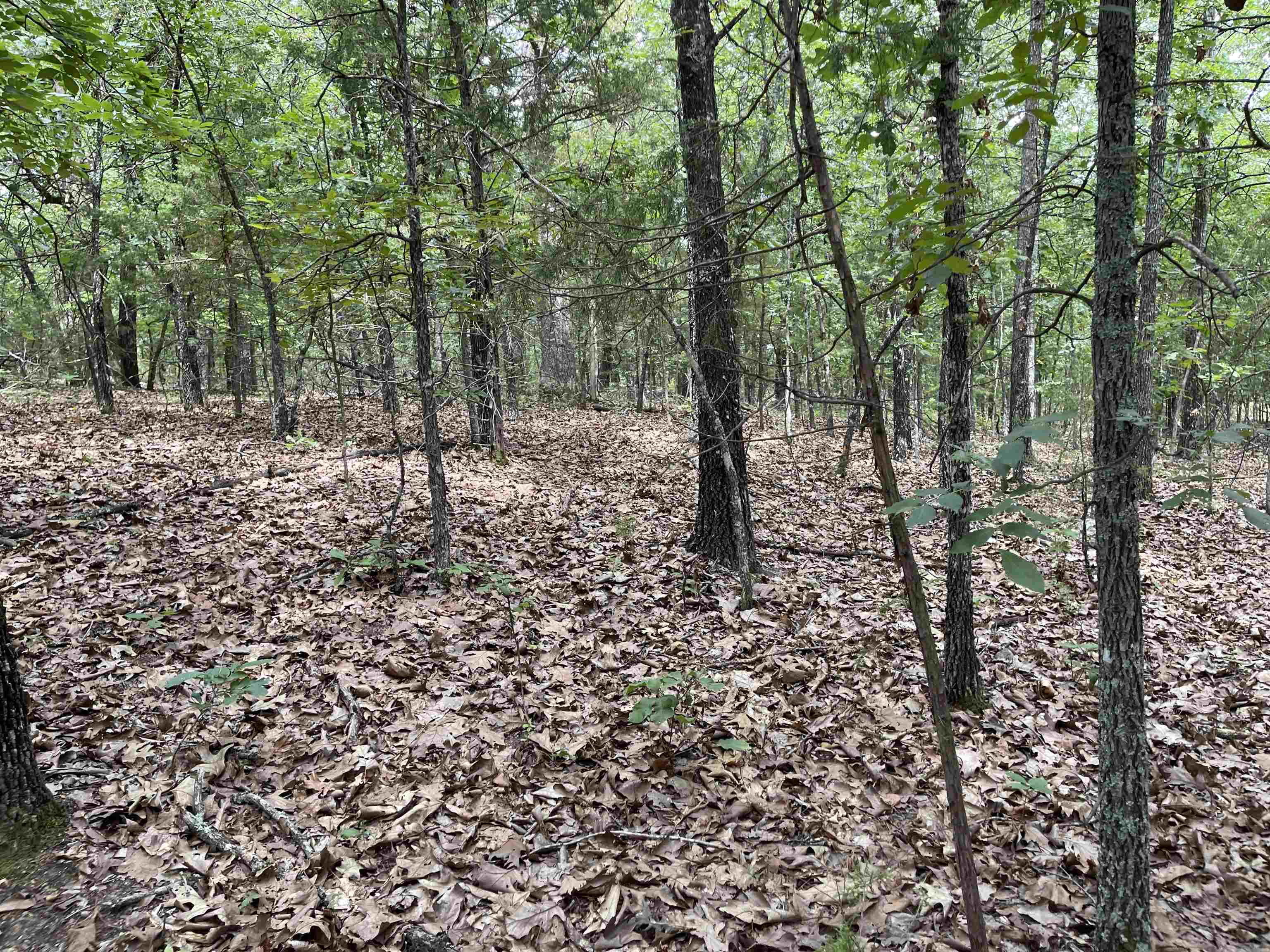 Metes & Bounds - Land