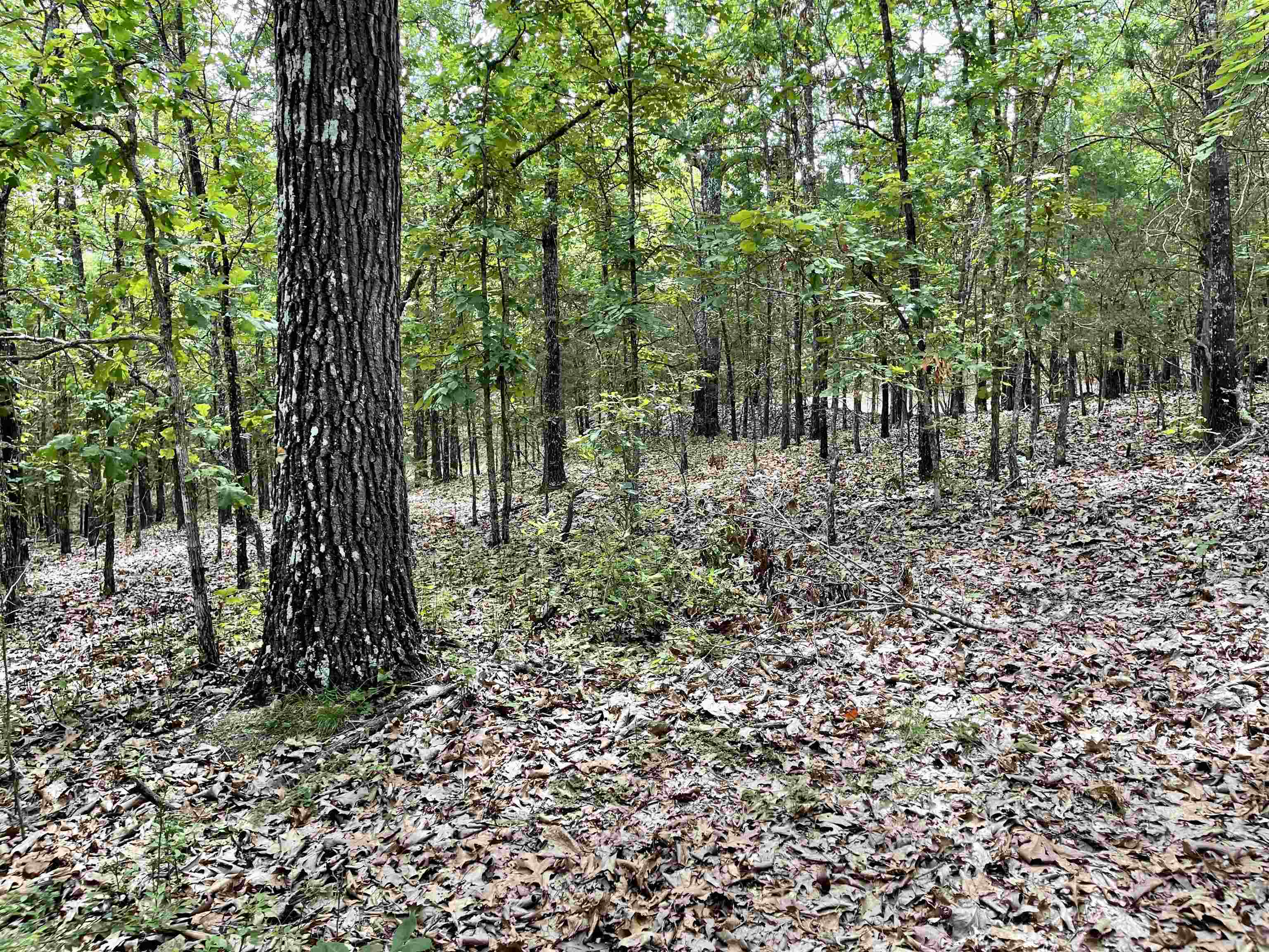 Metes & Bounds - Land