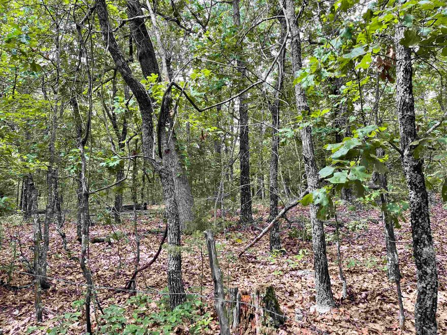 Ozarks wooded acreage for sale near Gepp and Viola Arkansas. 40 acres +/- in Fulton county located on Dove Road. This all wooded tract has trails for hunting all kinds of game including deer and turkey along with an electric right a way which runs through the middle of the 40 acres for great visibility and access. The property is easy rolling hills with no steep unusable land.  Loaded with hardwood timber and plenty of great building sites for that small getaway cabin or your forever home for peace and quiet with no neighbors in sight! Close to the Missouri state line and Mtn Home Arkansas is within 30 minutes away.