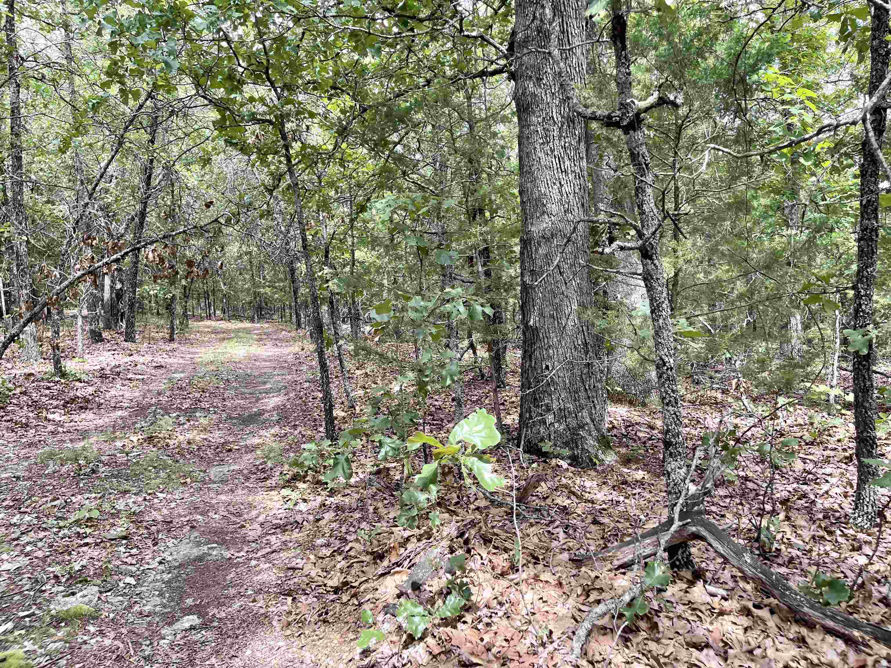 Metes & Bounds - Land