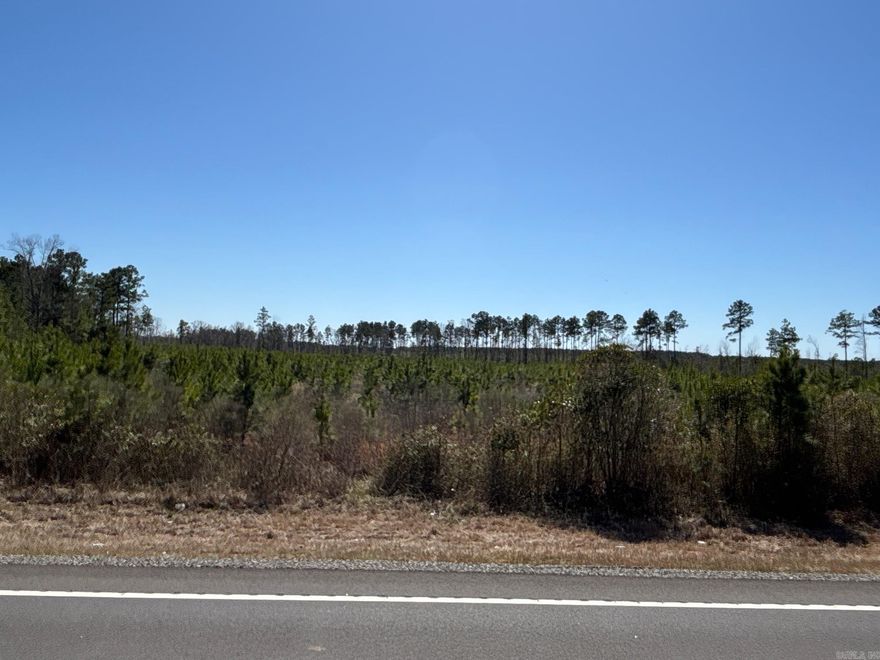 The ‘Dalark West Tract’ (#03019-04040) is a ±33-acre tract located in the eastern part of Clark County about ten (10) miles southeast of Arkadelphia and about two miles west of the Dalark community.  Access is provided by state highway #7 & #8, which serves as the north boundary of the property and provides approximately one-quarter mile of frontage.  With utilities available along the highway, this property holds numerous possibilities!  Most of the acreage is a loblolly pine plantation that was planted in 2021.  Some mature pine and hardwood timber is located along a small stream that flows through the property.  Are you looking for a timberland investment with numerous opportunities?  This offering does not include mineral interests.