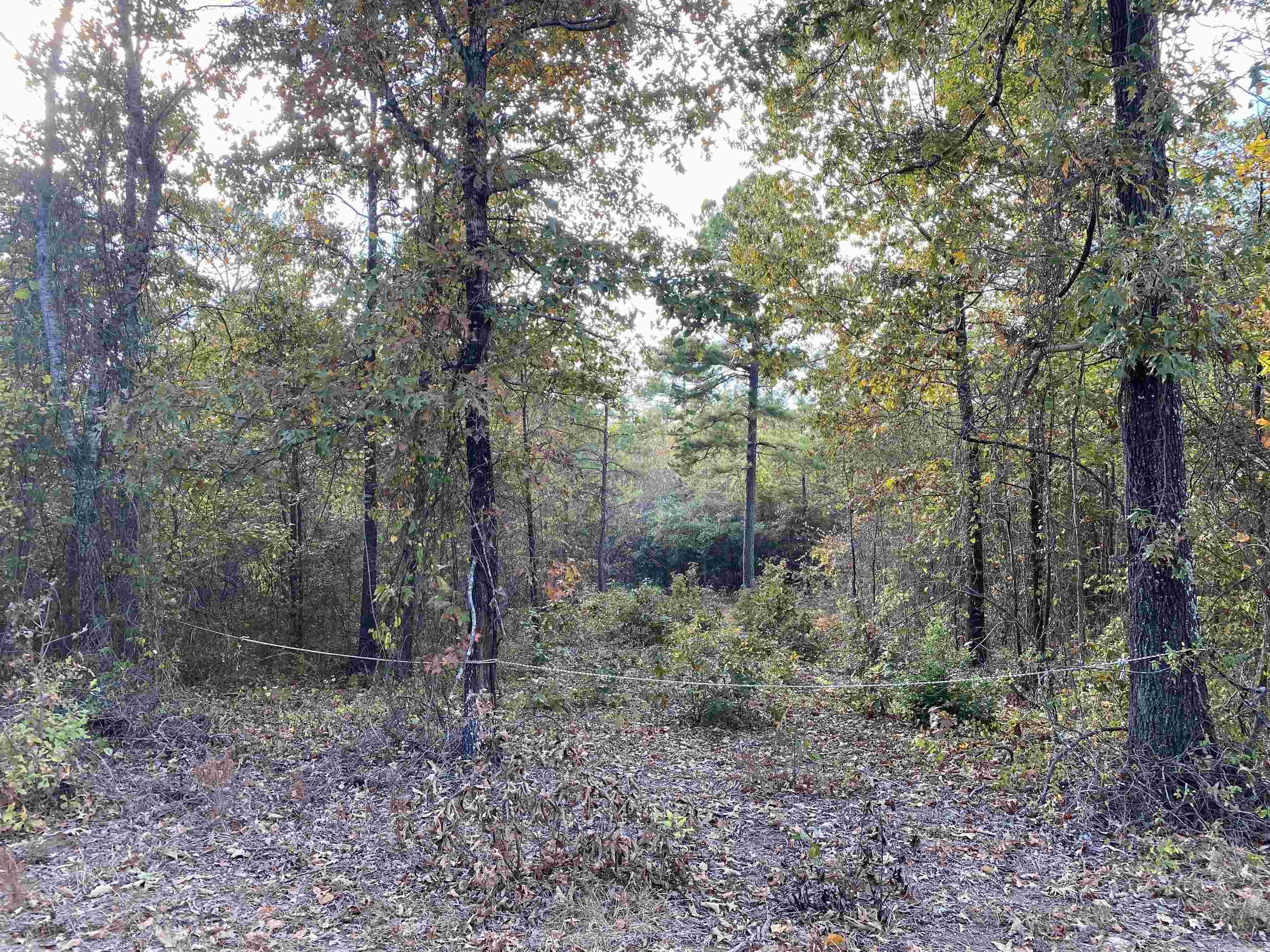 Metes & Bounds - Land