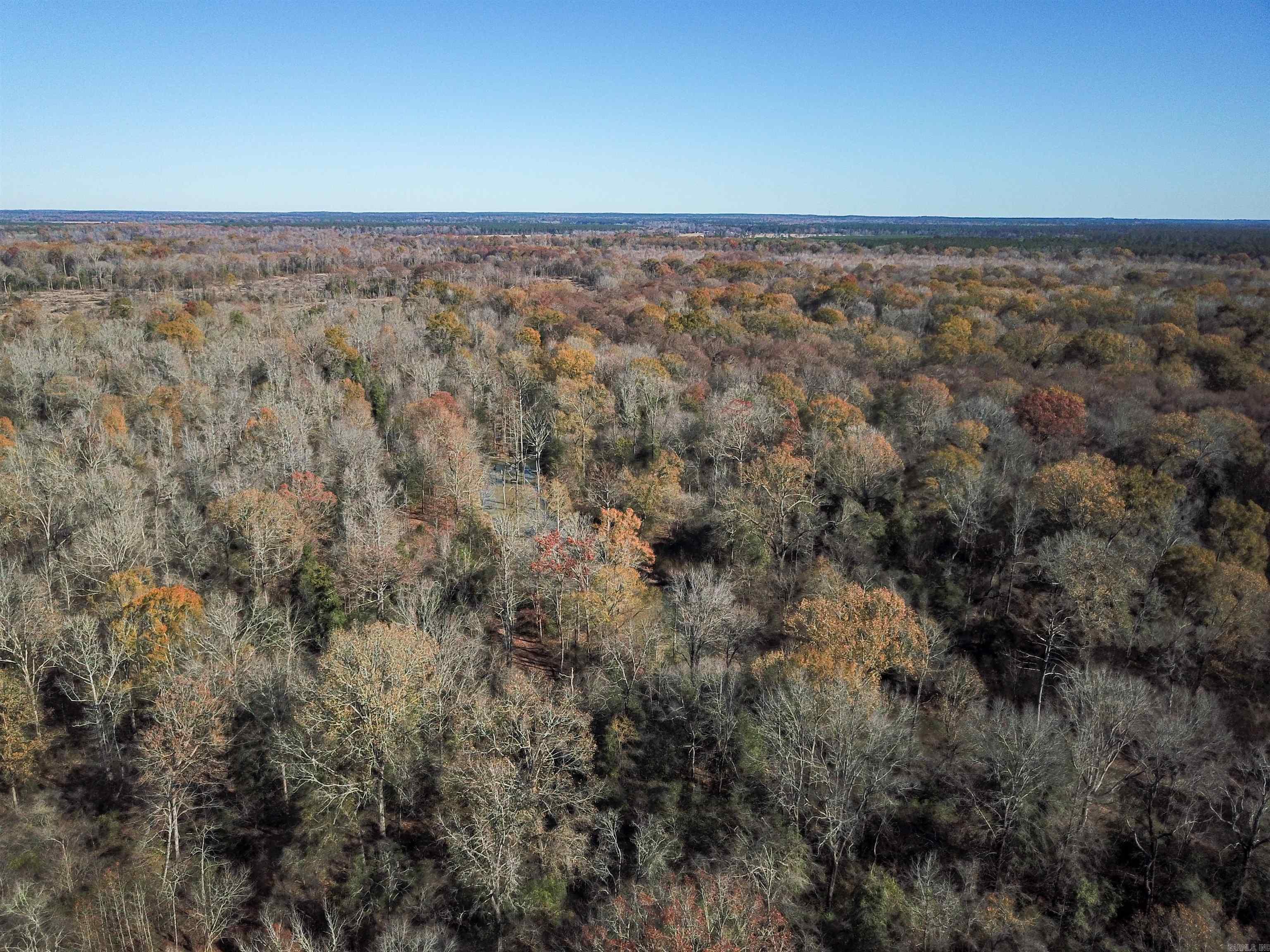 This 609-acre property, located just east of Arkadelphia and minutes from the Ouachita River, is a rare find for hunters, outdoorsmen, and land investors. The property consists of three contiguous tracts—two on the east side of the county road and one larger tract on the west side—offering varied terrain and significant potential for both wildlife management and timber investment. Approximately 370 acres has been clear-cut and are now in the fourth to fifth year of natural growth regeneration. This regeneration offers the perfect combination of cover and forage, making it highly attractive for whitetail deer and other wildlife. The returning vegetation creates abundant natural food sources, providing ample opportunities for establishing food plots that will be easily accessed from many of the trails on this tract. Along the county road, there are prime areas for edge habitat, helping to funnel deer movement through the property while also creating a great transition zone that promotes excellent biodiversity . The natural regrowth in these areas supports healthy wildlife populations, making this a prime hunting location.