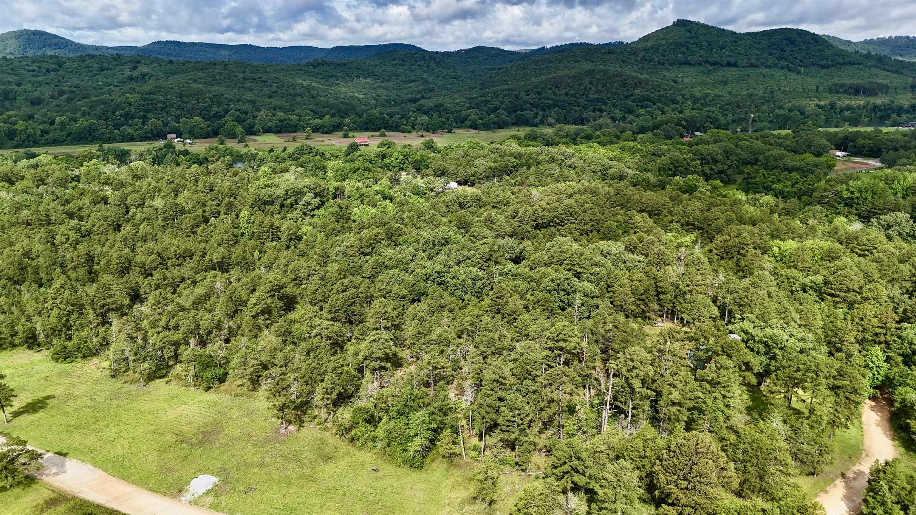 3.19 acres in Mount Olive! This property has direct access off a county maintained road. Mostly wooded and located less than 1/2 mile from the White River! This property would make a great place to build a weekend getaway! Great property in a growing community!