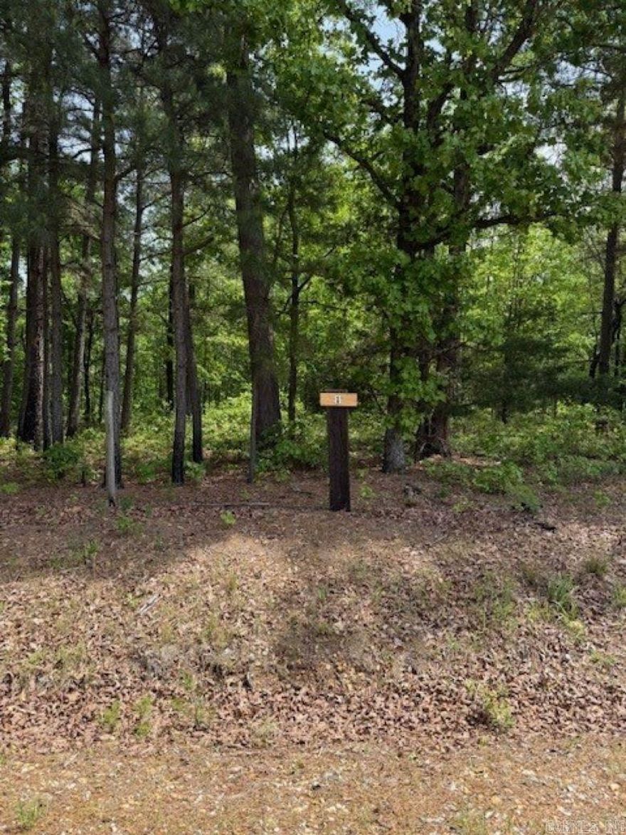 Welcome to Blakelytown Estates, bring your plans and build your dream home in the seclusion of wooded acreage across the road from a private 9 hole golf course with cart path access.  This subdivision is contiguous with the amazing Blakelytown events venue. Tract 1