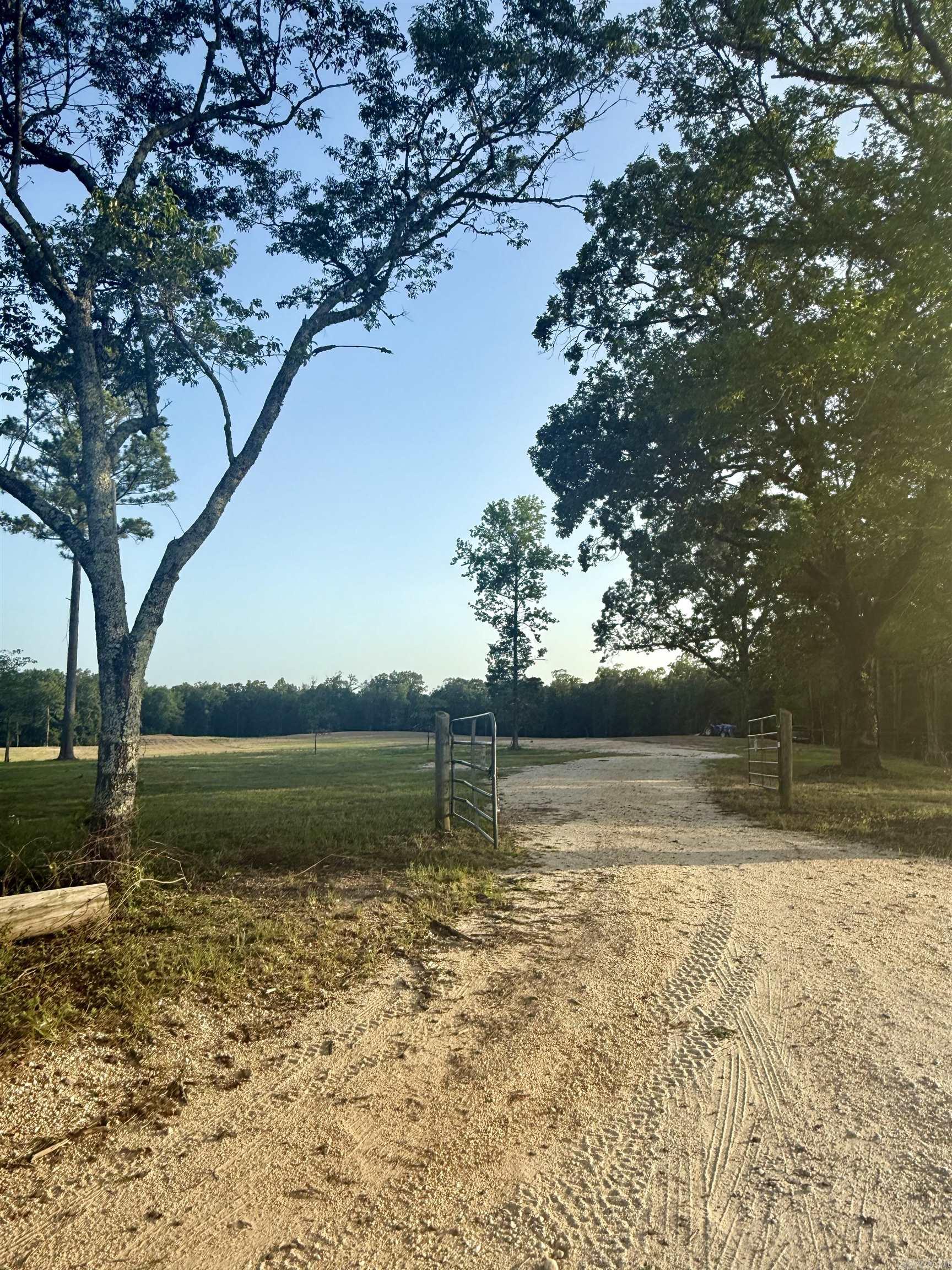 Build your dream home on this beautiful 26 acres, that is far enough to have privacy but still close to plenty of amenities including the future Buc-ees. Water and electric are at the road- property will need a septic tank.