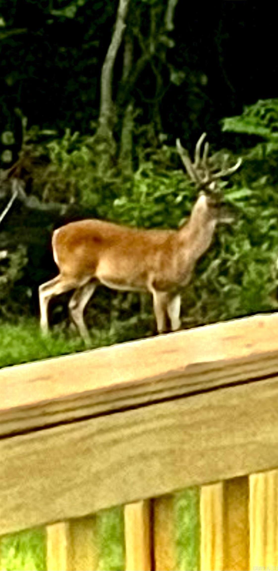 Whitworth Estates - Residential