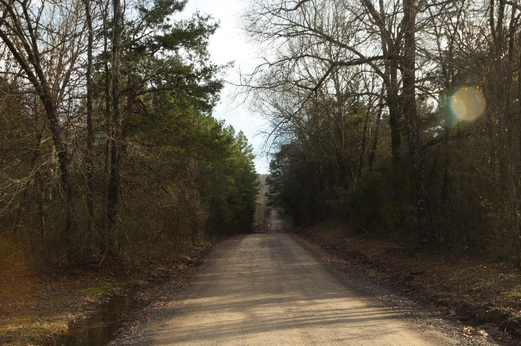 This is a beautiful 14.8-acre mostly wooded tract of land consisting of two adjoining parcels (001-01319-002, 001-01319-003) near Bigelow, Arkansas along Highway 113 with power at the street. The property is about 36 miles from downtown Little Rock and has no restrictions. It has about 1168 feet of road frontage along Highway 113, and 990 feet of road frontage along Kristofik Lane. It also includes a culvert, electric power at the street, a seasonal stream and a small pond.
