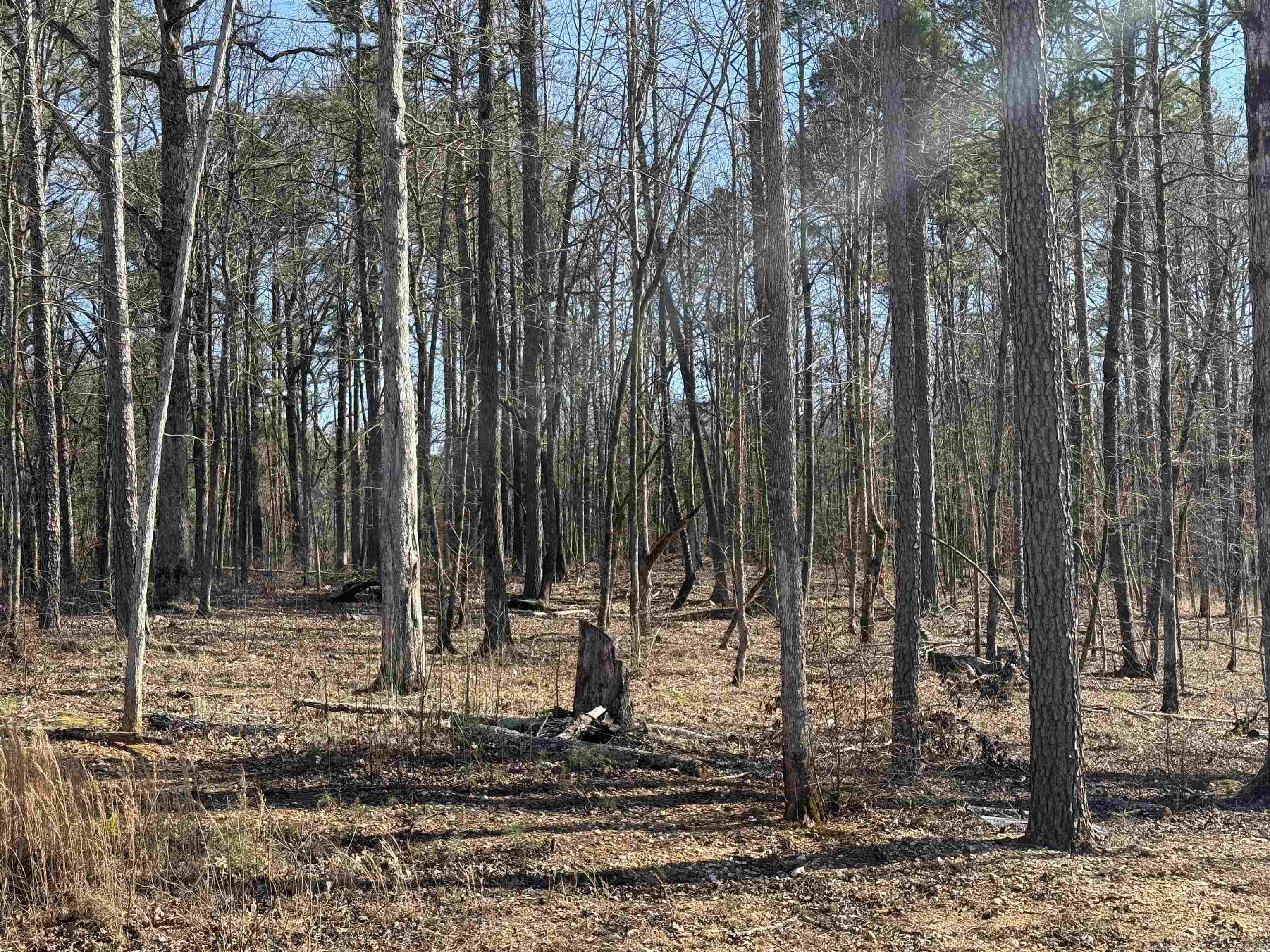 This is a 1.24 Acre lot located in a new subdivision in Benton. One of the final remaining lots that hasn't been developed yet, don't miss out on your opportunity to build your dream home in this fantastic community located only a few miles from downtown Benton, and quick access to I-30. Seller has a perc test for the lot on file, this lot is ready to build on!