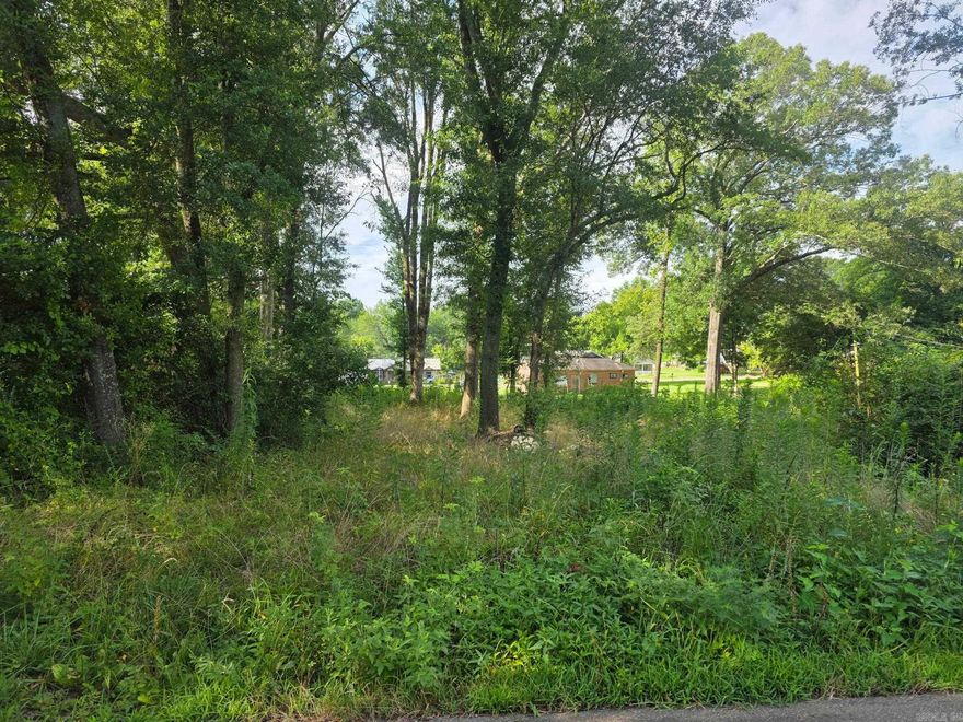 Its a vacant lot with potential to build a home with access to city water, sewer and Swepco electric.