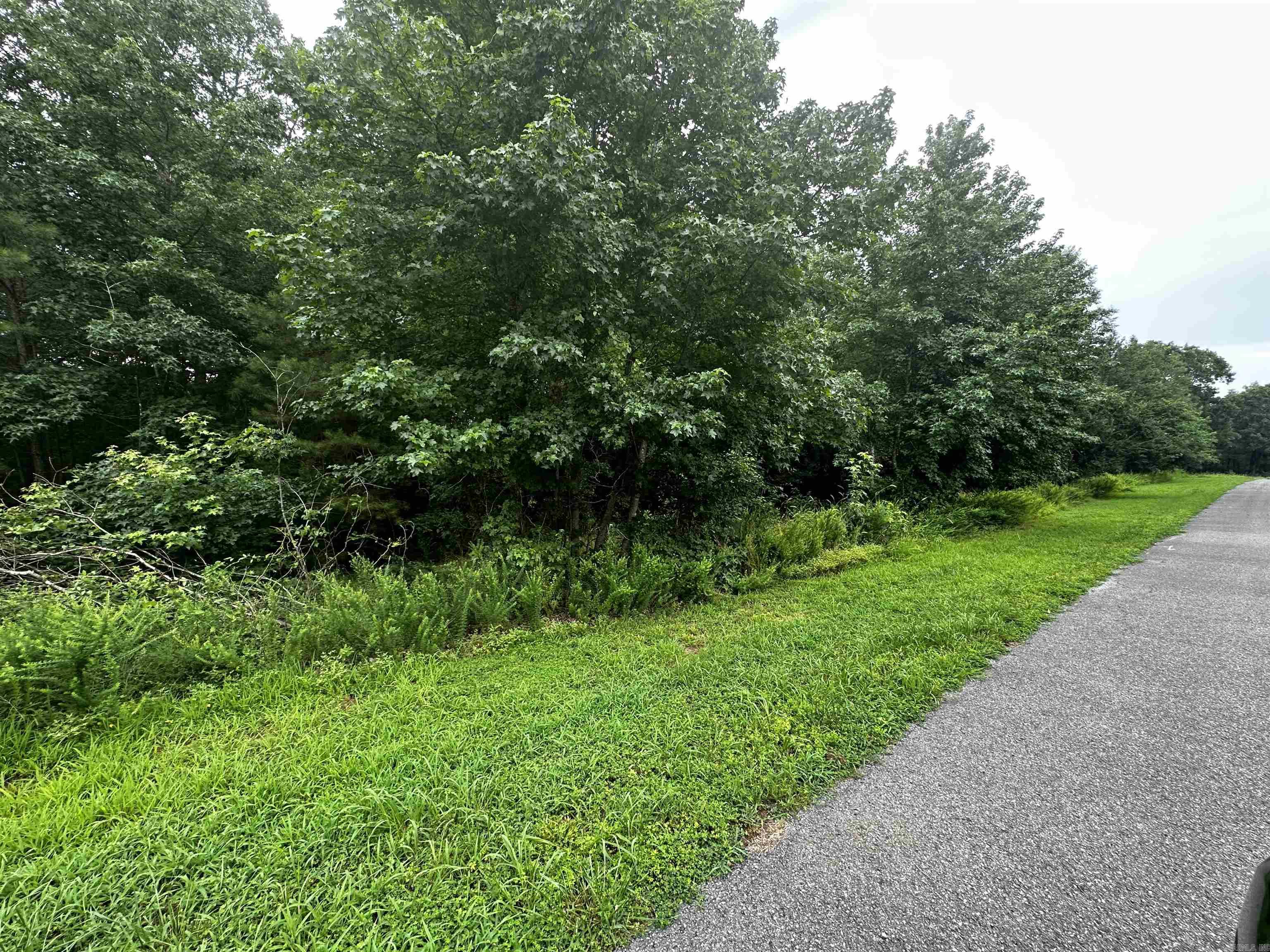Great Lake Area. Get this lot before its gone. Nice location. Lake Front !! Lake pictures taken below white line , mineral rights do not convey.