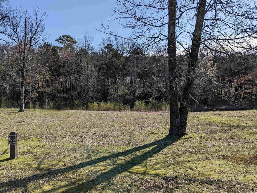 Beautiful flat lot in prestigious Brighton Pointe! One of the very finest subdivisions on Greers Ferry Lake offers buried utilities, sewer, natural gas, swimming pool, and a location that is unrivaled. Minutes to Dam Site Marina, restaurants and shopping. As good as it gets!