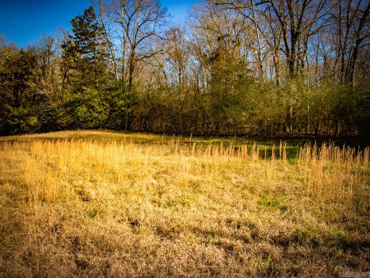 The future site of your new home! This beautiful 6.31 acre tract, is level, and features beautiful hardwoods with approx. 1 acre already cleared. There is currently a mobile home that will be removed unless otherwise negotiated. A well, Electricity, and septic are already on the property along with an existing storm shelter. A small rainwater creek also runs through the property. Call today for more details or to schedule a tour.