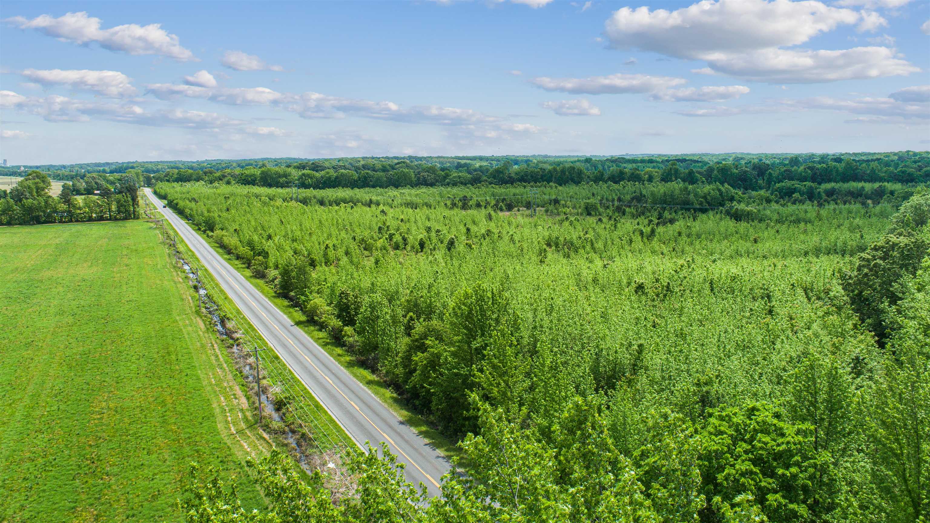 67.78 acres located on paved county road CR 114 (Sunrise Rd) just outside of the Jonesboro City Limits. Beautiful location with hills and level land. Excellent potential for an executive home site, small ranch, or development project.