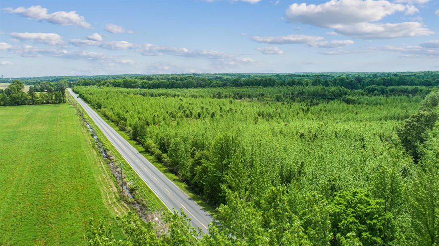 67.78 acres located on paved county road CR 114 (Sunrise Rd)  just outside of the Jonesboro City Limits.  Beautiful location with hills and level land. Excellent potential for an executive home site, small ranch, or development project.