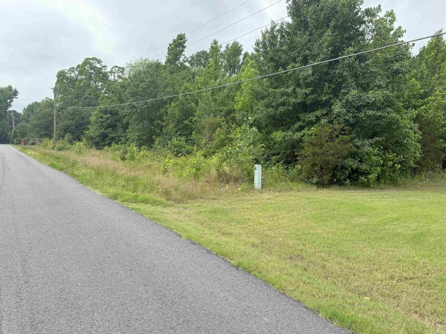 Motivated seller! 1 Acre or vacant Land, will need to be cleared to build on, will need a perc test.