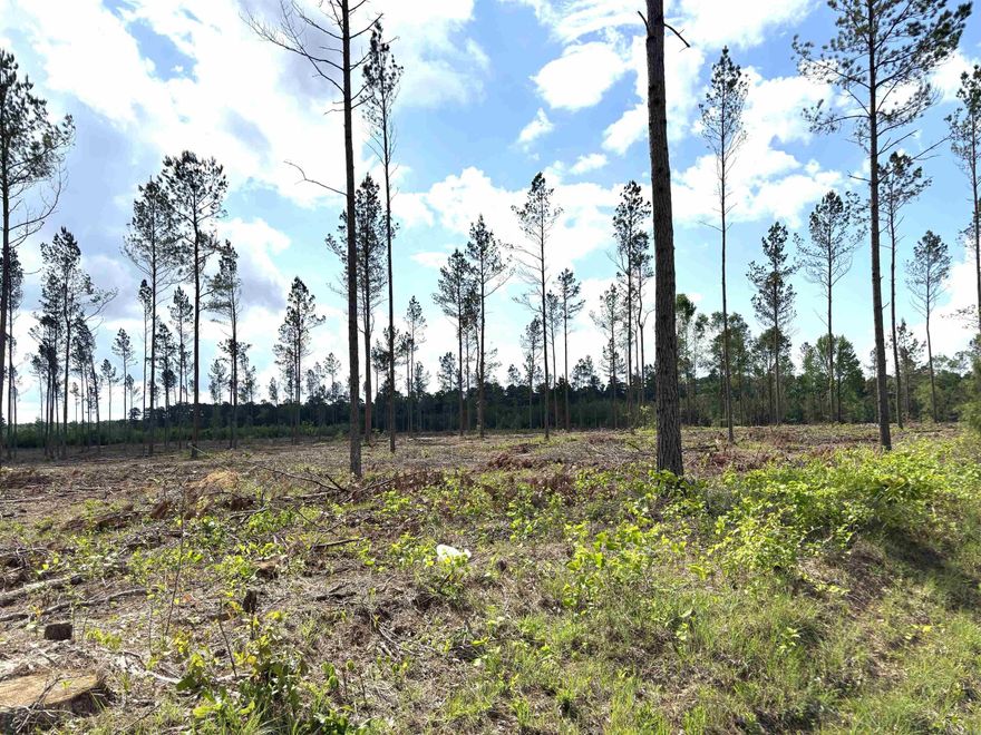 Nice level land in a good area*close to the bypass for easy commute*public water*Sheridan Schools*nice homes all around*this land is unique and hard to find anything like it*