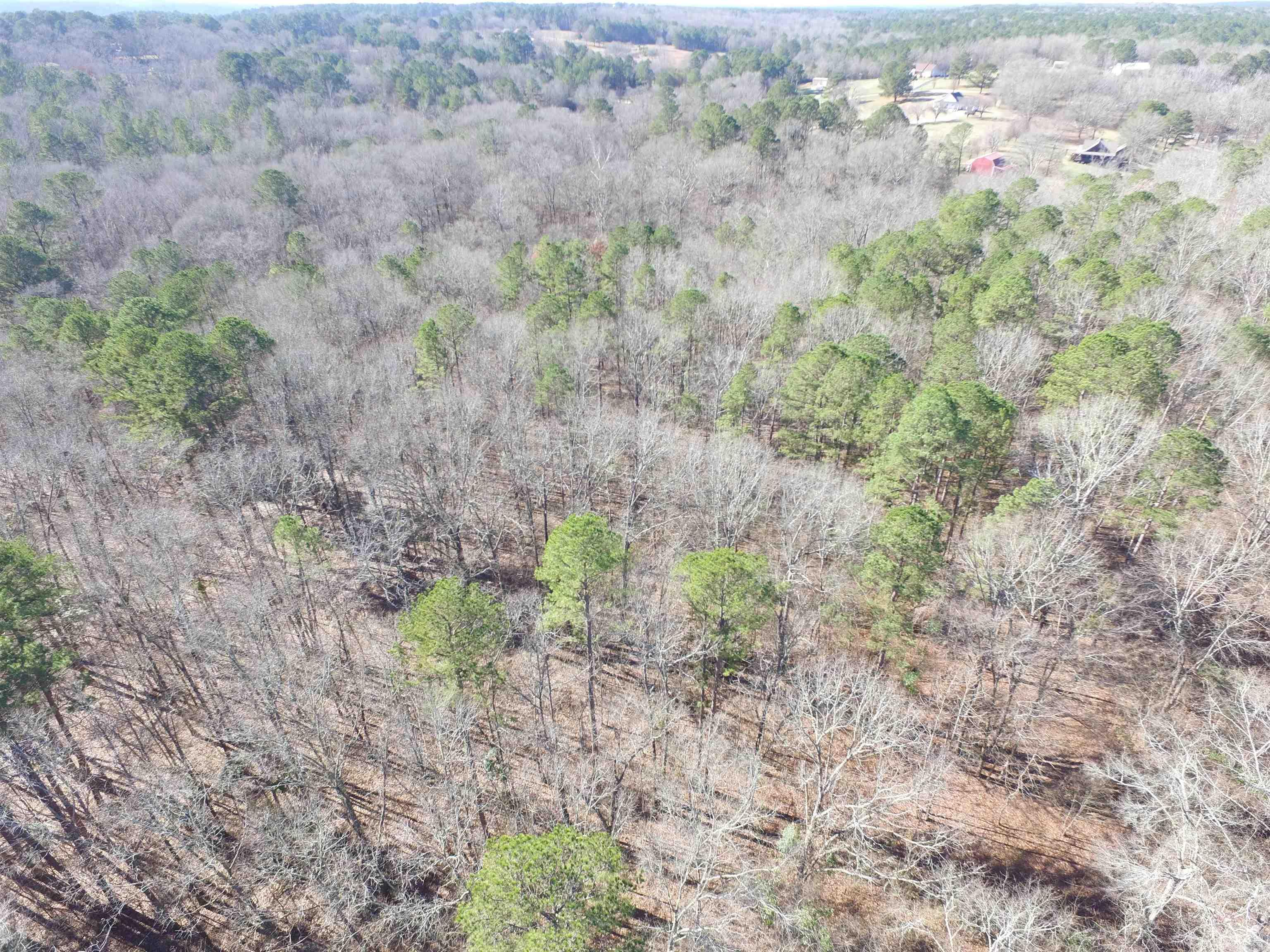 Lake Degray Estates - Land