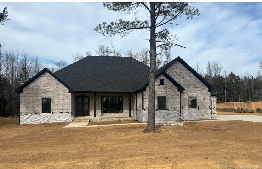 This home is located in a brand new subdivision in Greenbrier. It has a very large backyard with trees to buffer the view of the neighboring homes. The large back porch is great for entertaining. Inside the home you will find high ceilings and large windows. The sliding glass doors are great for letting in light and enjoying the view of your private backyard. Abundant cabinetry with a hidden pantry with shelving for all the items that you don't want to be seen on your countertops. Granite and quartz countertops throughout the home. Enjoy the view from the living room into the backyard while sitting in front of the cozy fireplace. Coming in from the garage is a half bath with lockers for coats, shoes and bags. You can circle through the laundry room into the primary closet through the bathroom and into the bedroom. You will enjoy the soaking tub and separate shower. You will appreciate the storage in this home! The 3rd car garage is extra deep for a trailer, boat or extra storage.