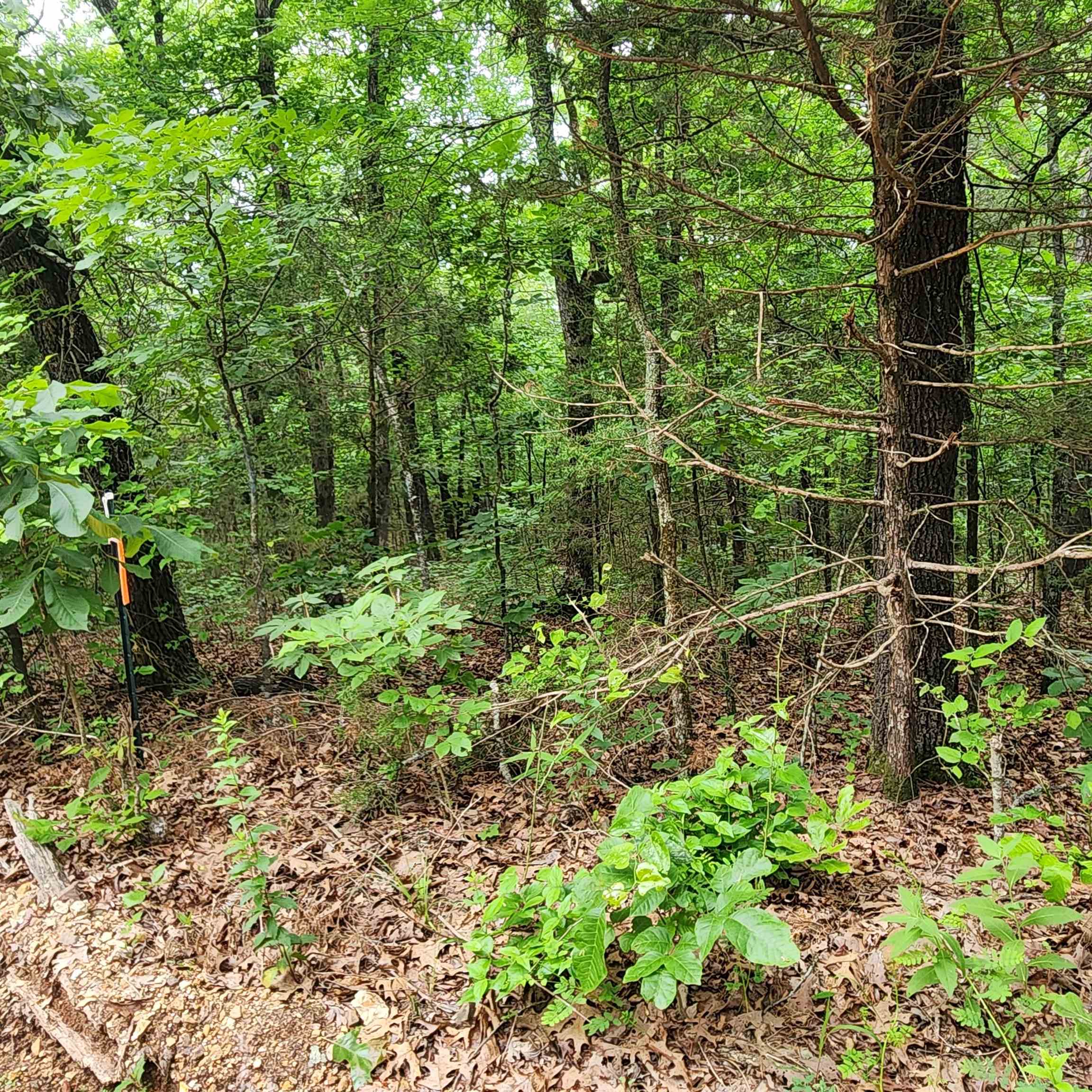 Metes & Bounds - Land