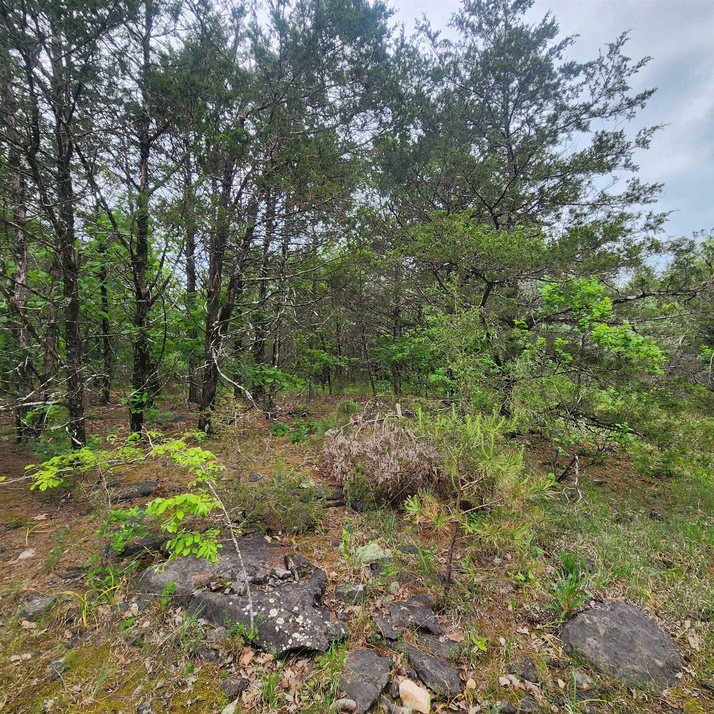 Metes & Bounds - Land