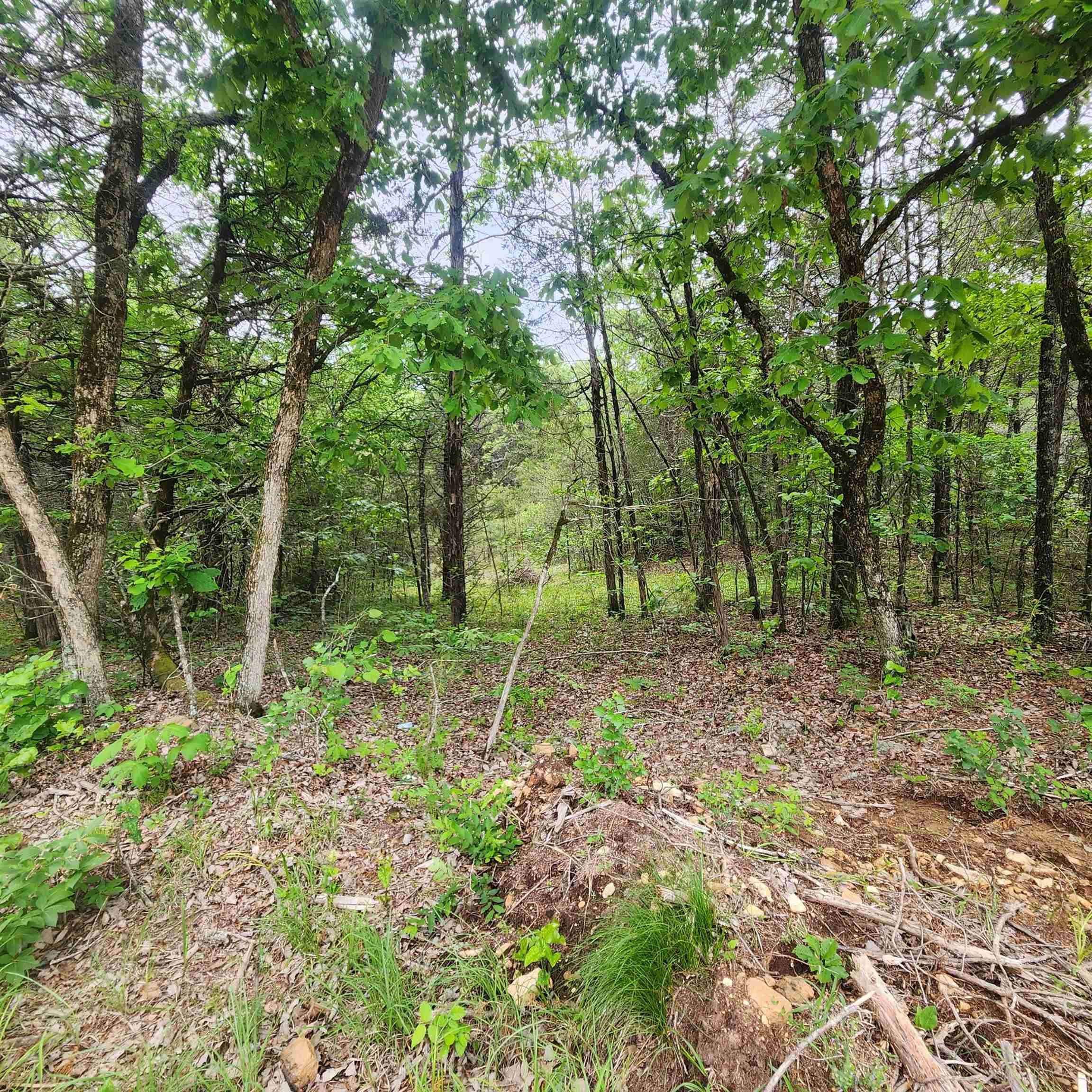 Metes & Bounds - Land