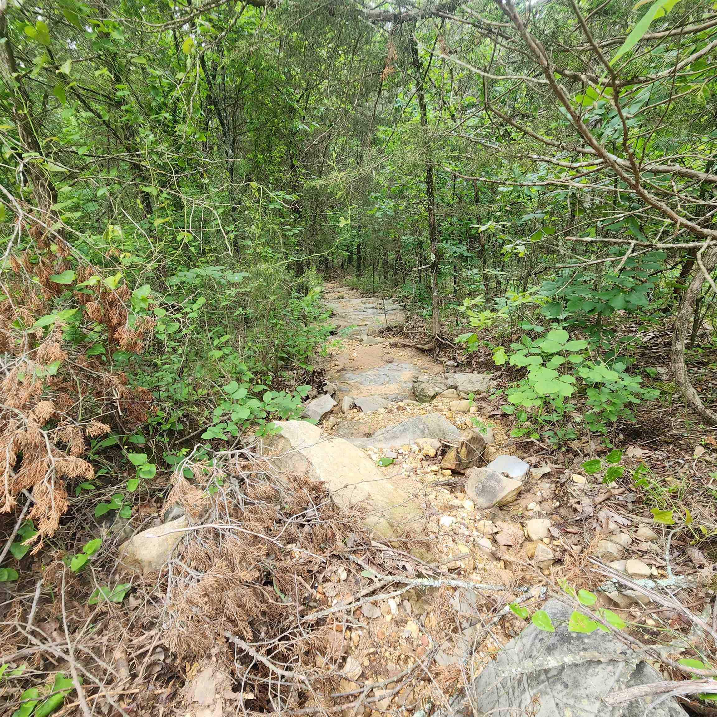 Metes & Bounds - Land