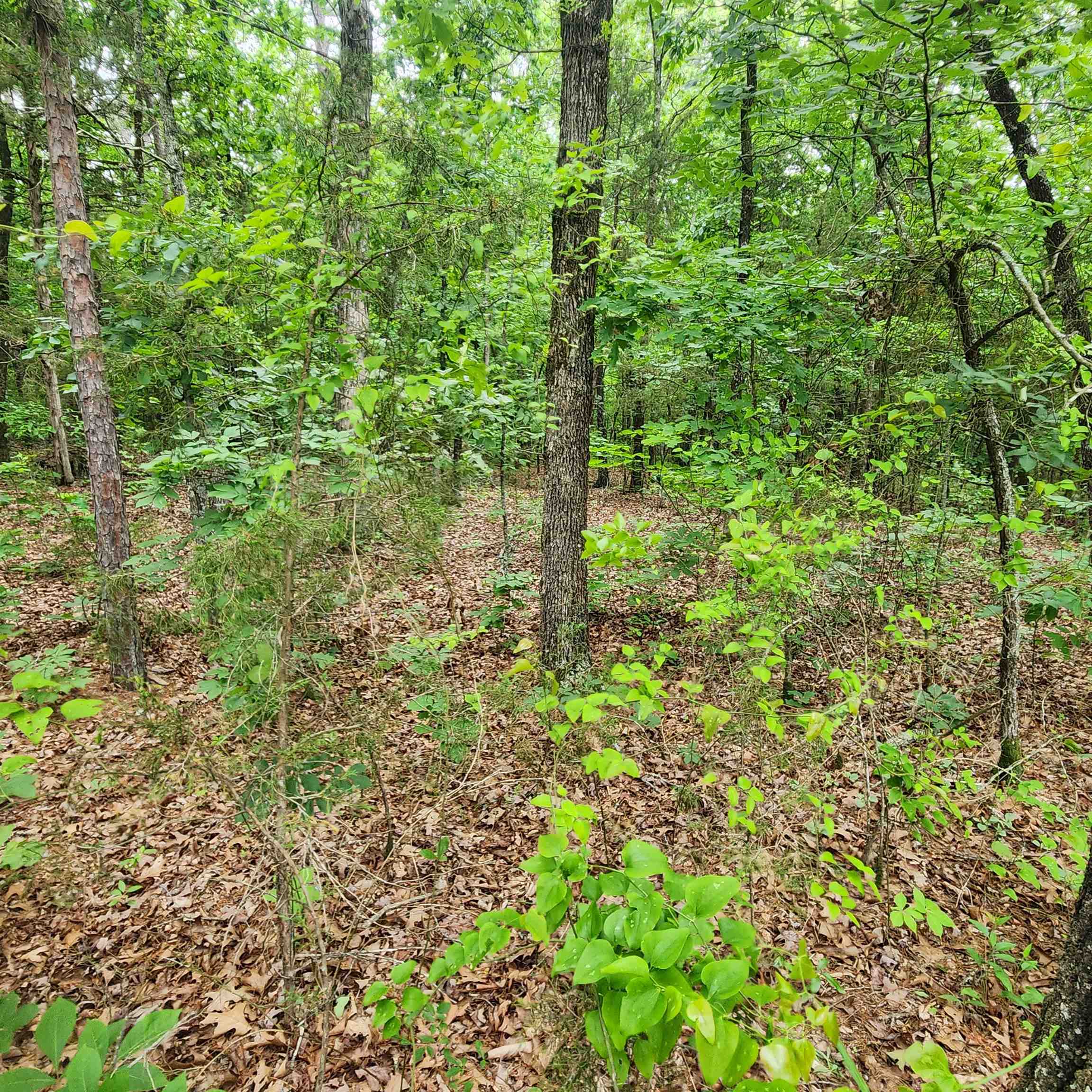 Metes & Bounds - Land