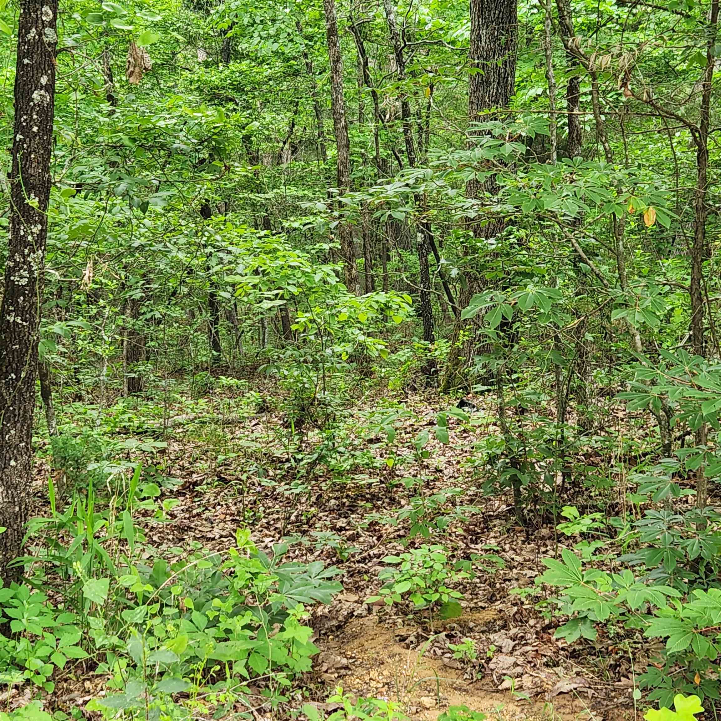 Metes & Bounds - Land