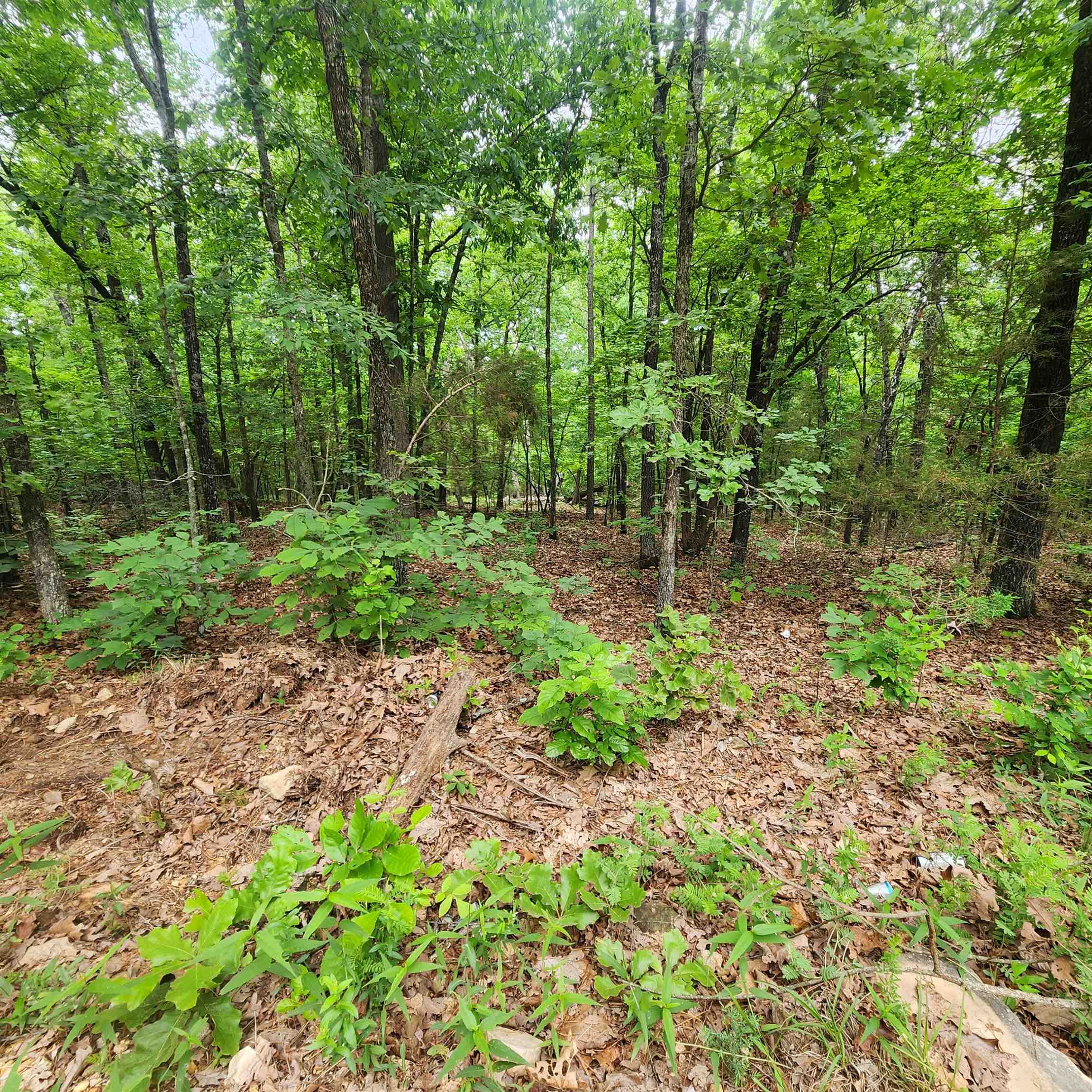 Metes & Bounds - Land