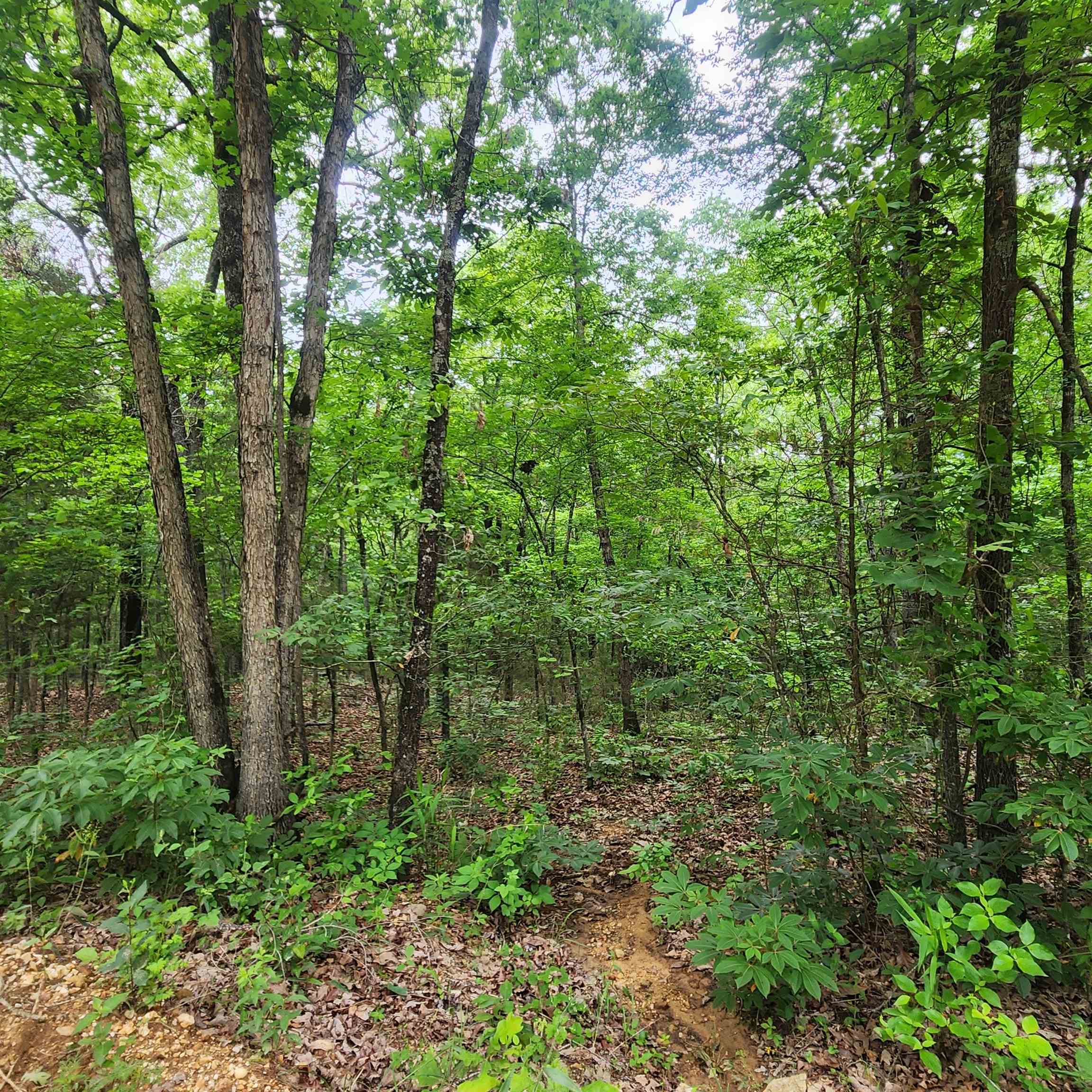 Metes & Bounds - Land