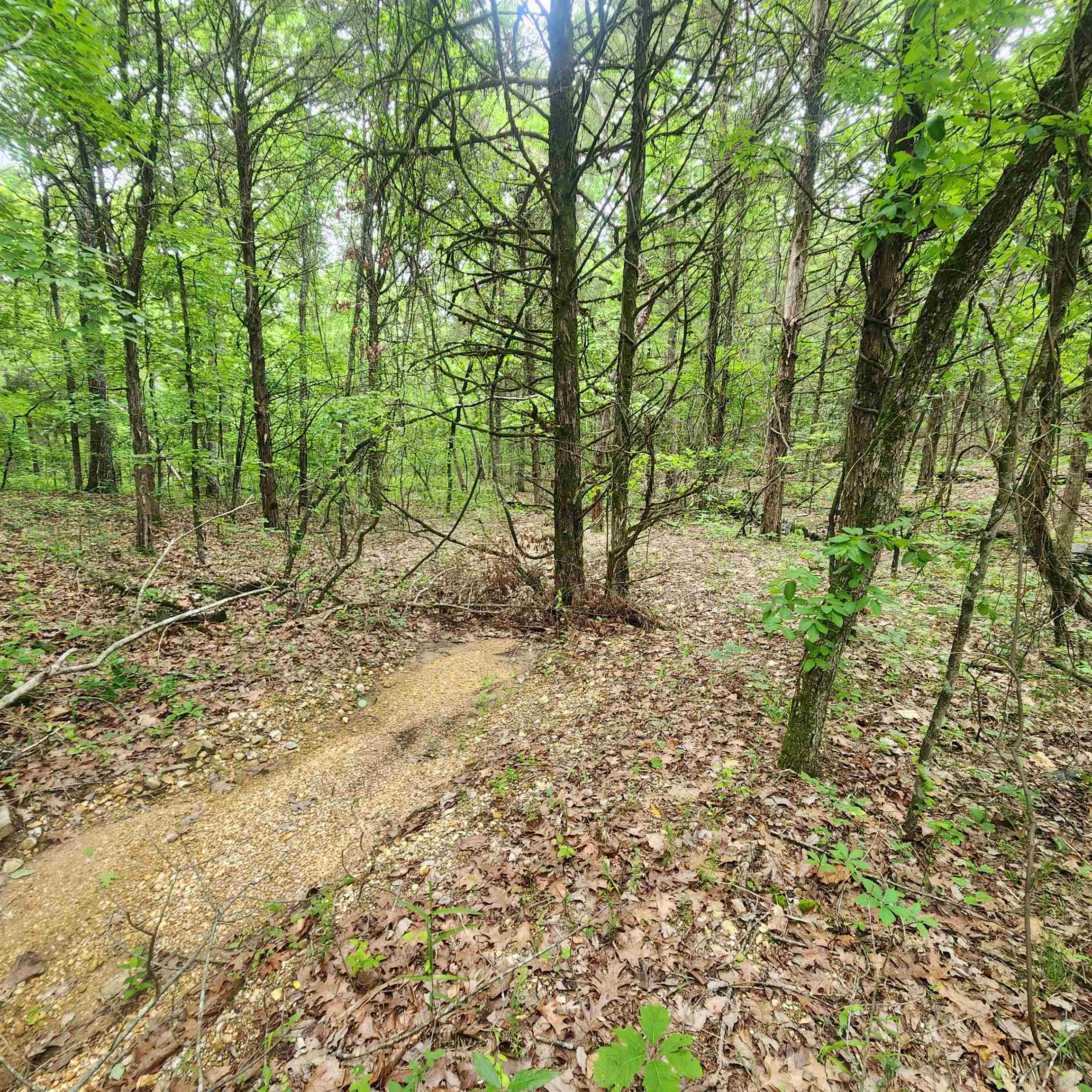 Metes & Bounds - Land