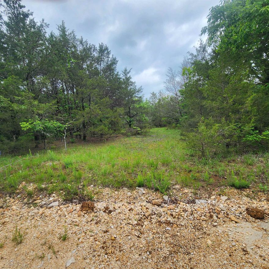 30+/- Acres M/L of gorgeous hunting land. Beautiful woods that are full of trees. Mature trees, cedar, pine, several types of oak, etc. This is a hunter's delight or a nature lover’s dream. This land would make for great off grid living, but there is power available on the road if wanted. There are several spots that could make great shooting lanes and or places for box stands. Not to mention that a wet-weather creek runs across the lower half of the property, right in the center. There is about 1/3 mile of road frontage on Powells Chapel Road. There are several great building spots for a house, a barn-dominium, a cabin, or a campsite. What more could you ask for? Come see this wonderful property for yourself and pick your spot for hunting, building, or camping, it's all yours, so it's your choice.