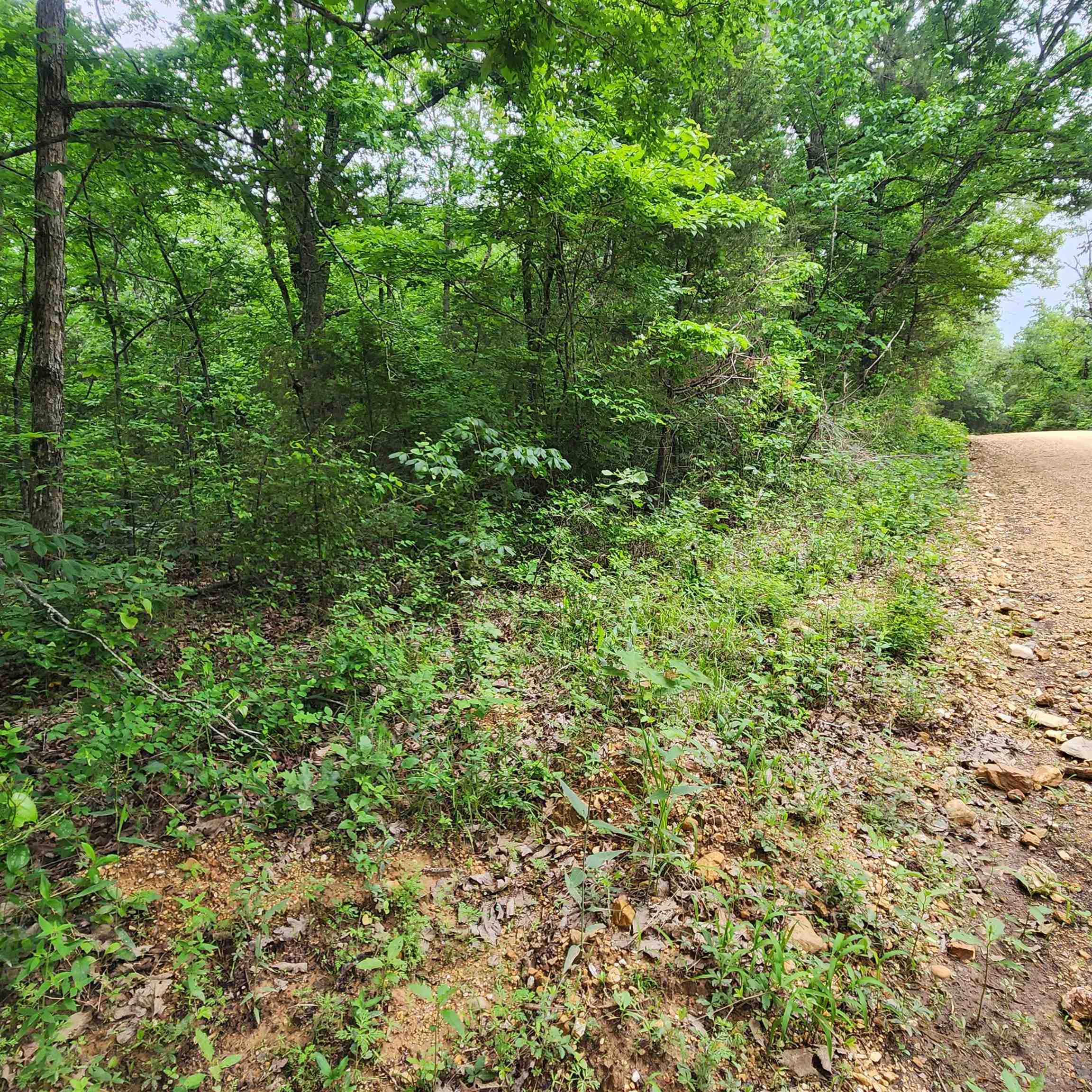 Metes & Bounds - Land